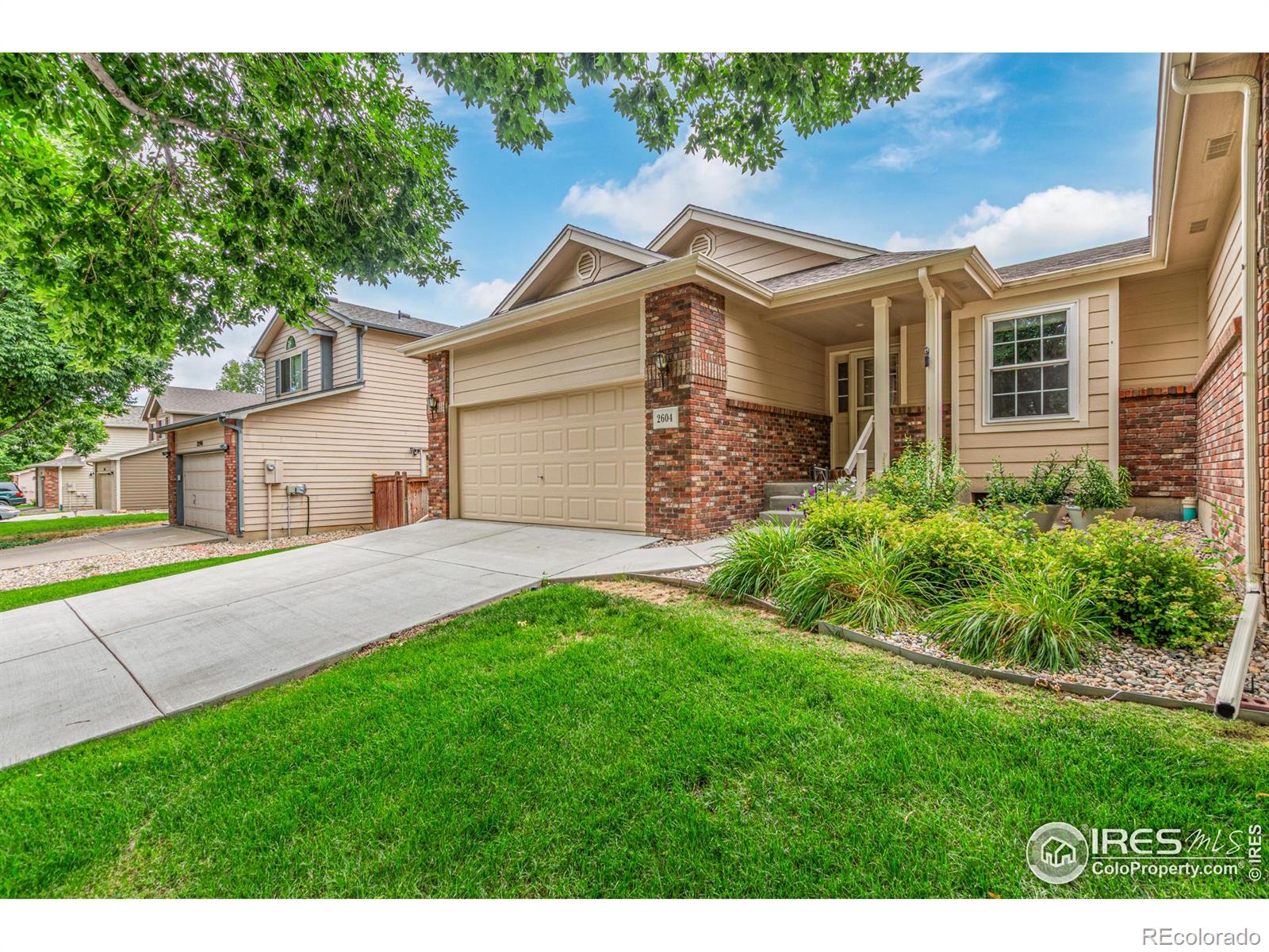 CMA Image for 2604  Anemonie Drive,Loveland, Colorado