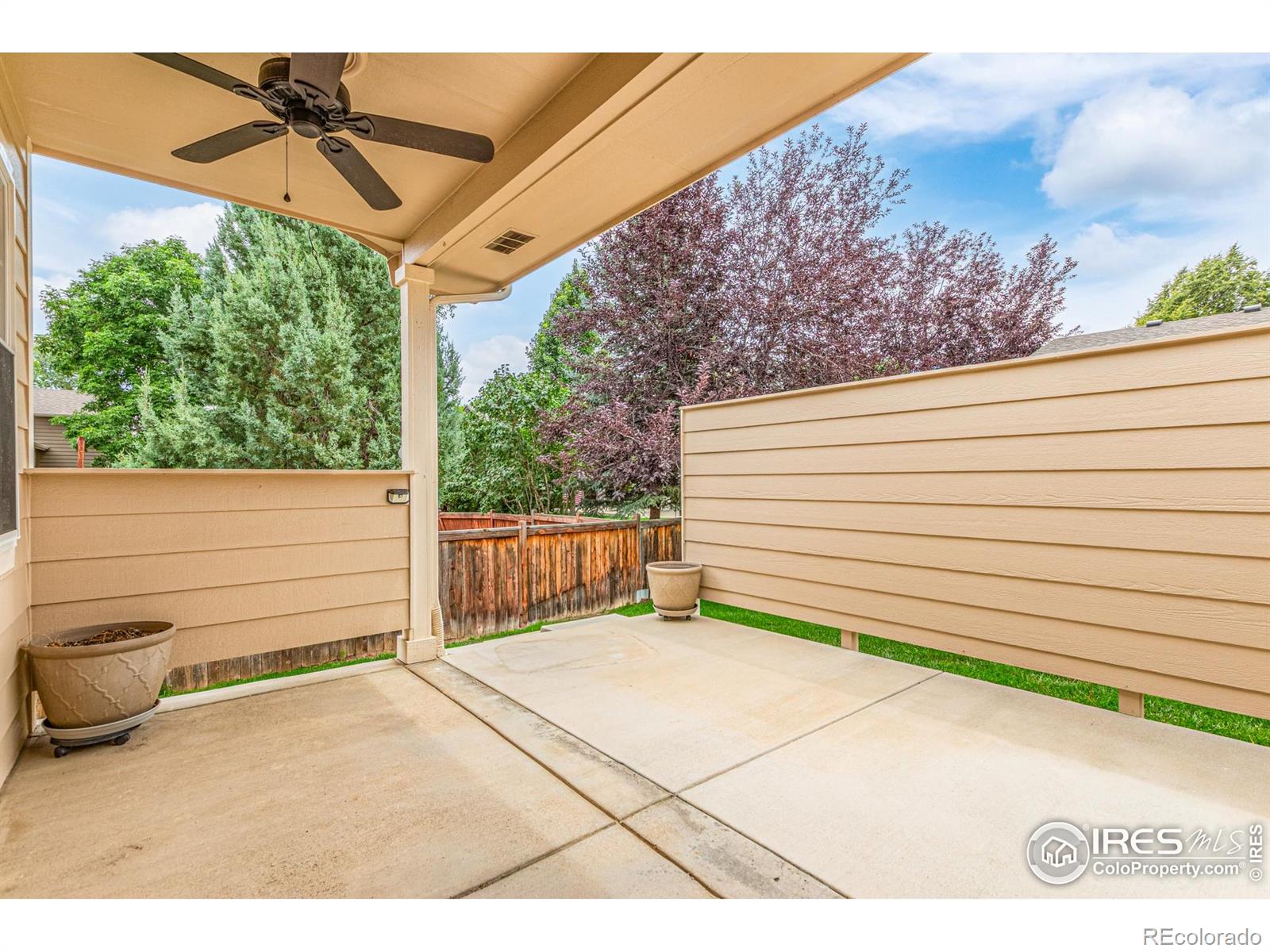 MLS Image #31 for 2604  anemonie drive,loveland, Colorado