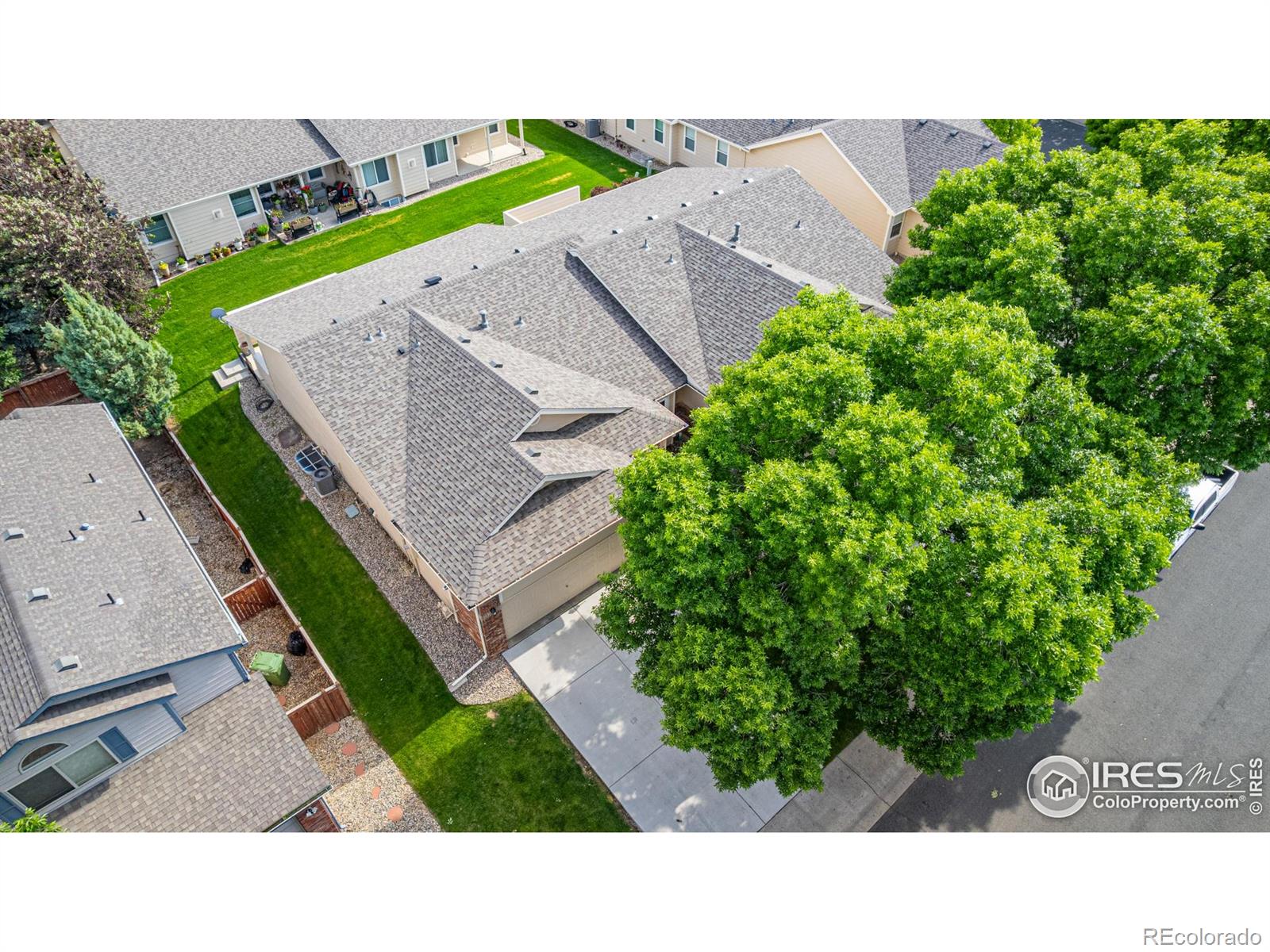 MLS Image #37 for 2604  anemonie drive,loveland, Colorado