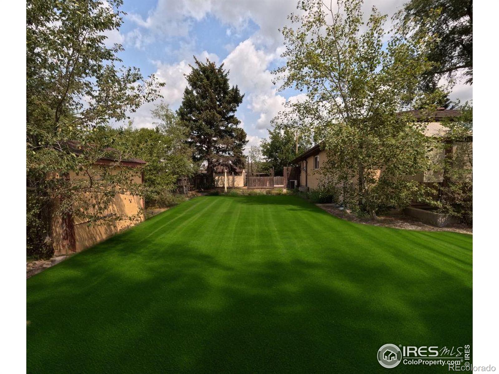 MLS Image #35 for 317 s sherman street,fort morgan, Colorado