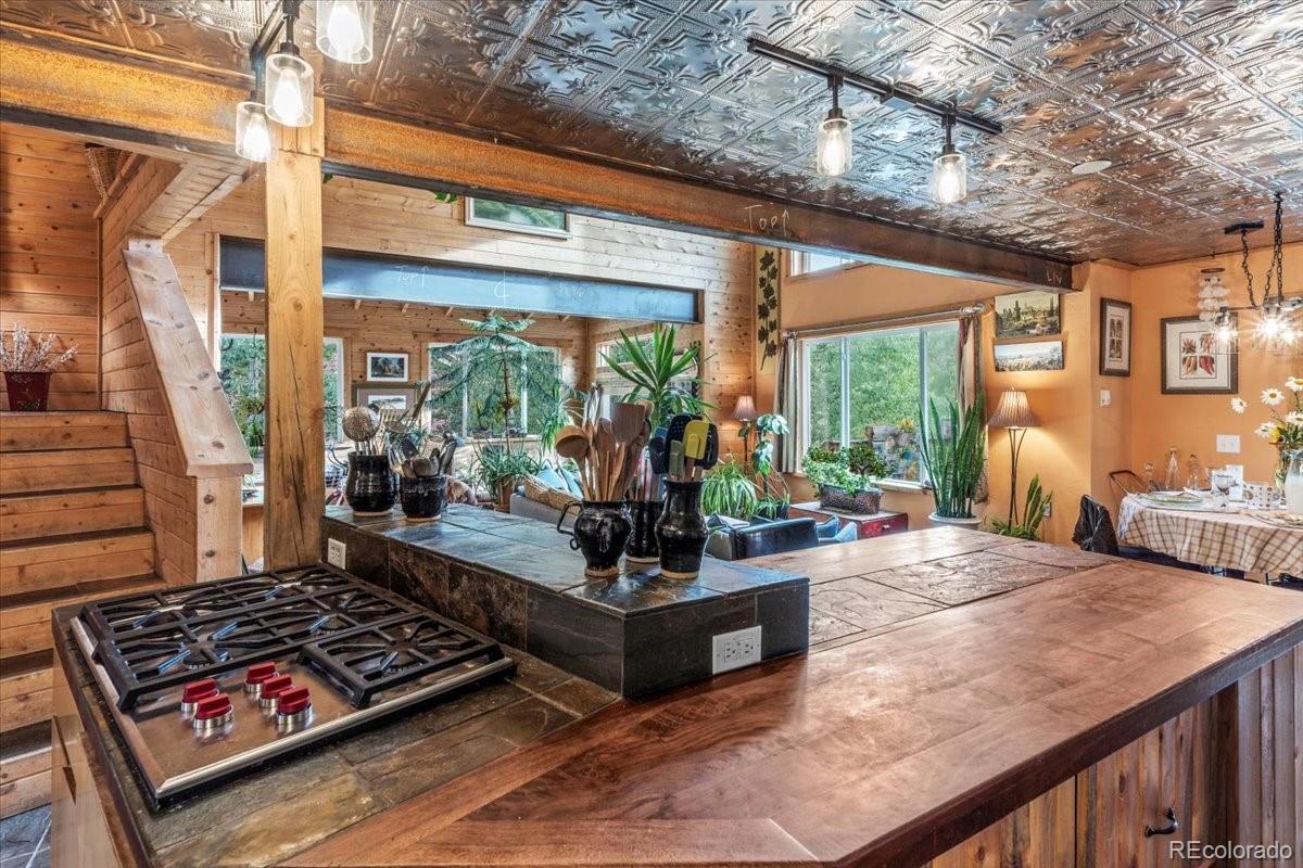MLS Image #11 for 1051  mesa drive,silverthorne, Colorado