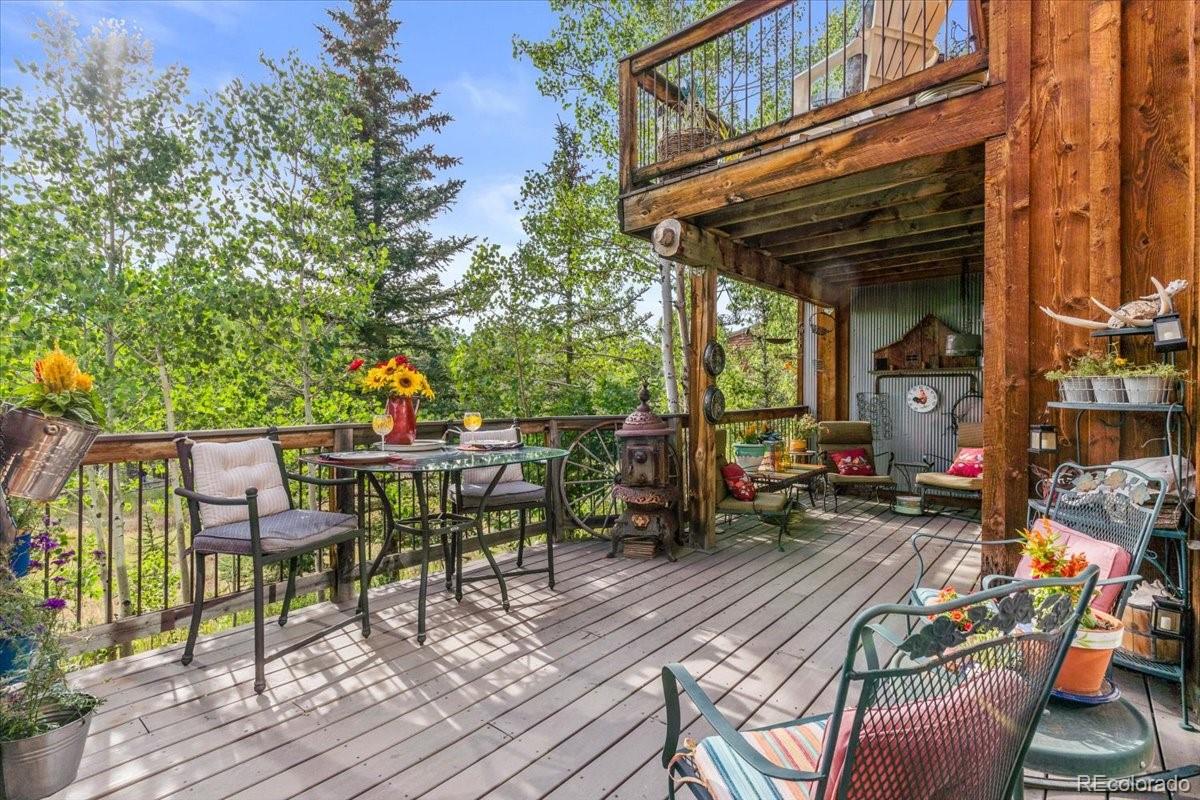 MLS Image #16 for 1051  mesa drive,silverthorne, Colorado
