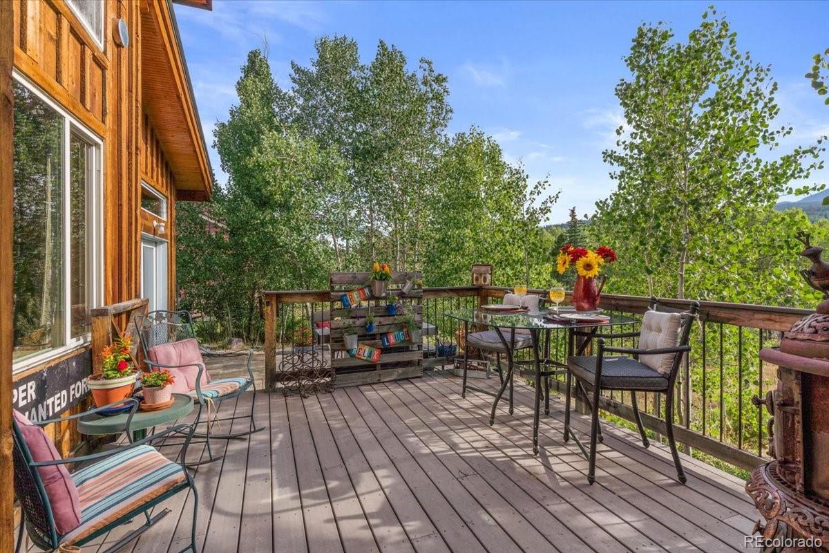 MLS Image #17 for 1051  mesa drive,silverthorne, Colorado