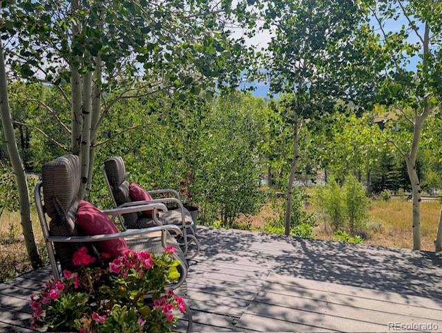MLS Image #20 for 1051  mesa drive,silverthorne, Colorado