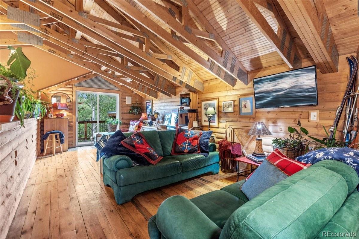 MLS Image #21 for 1051  mesa drive,silverthorne, Colorado