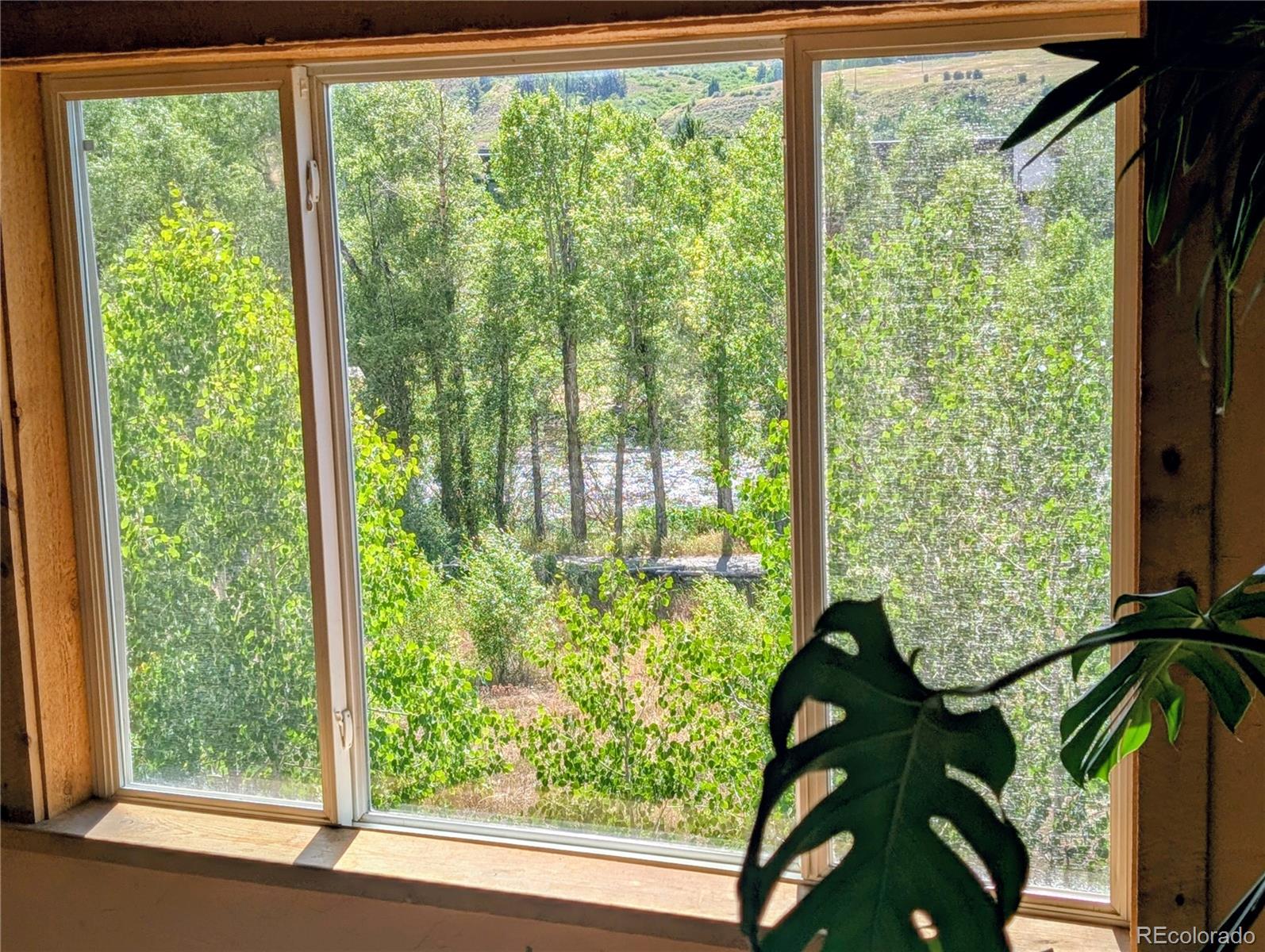 MLS Image #24 for 1051  mesa drive,silverthorne, Colorado