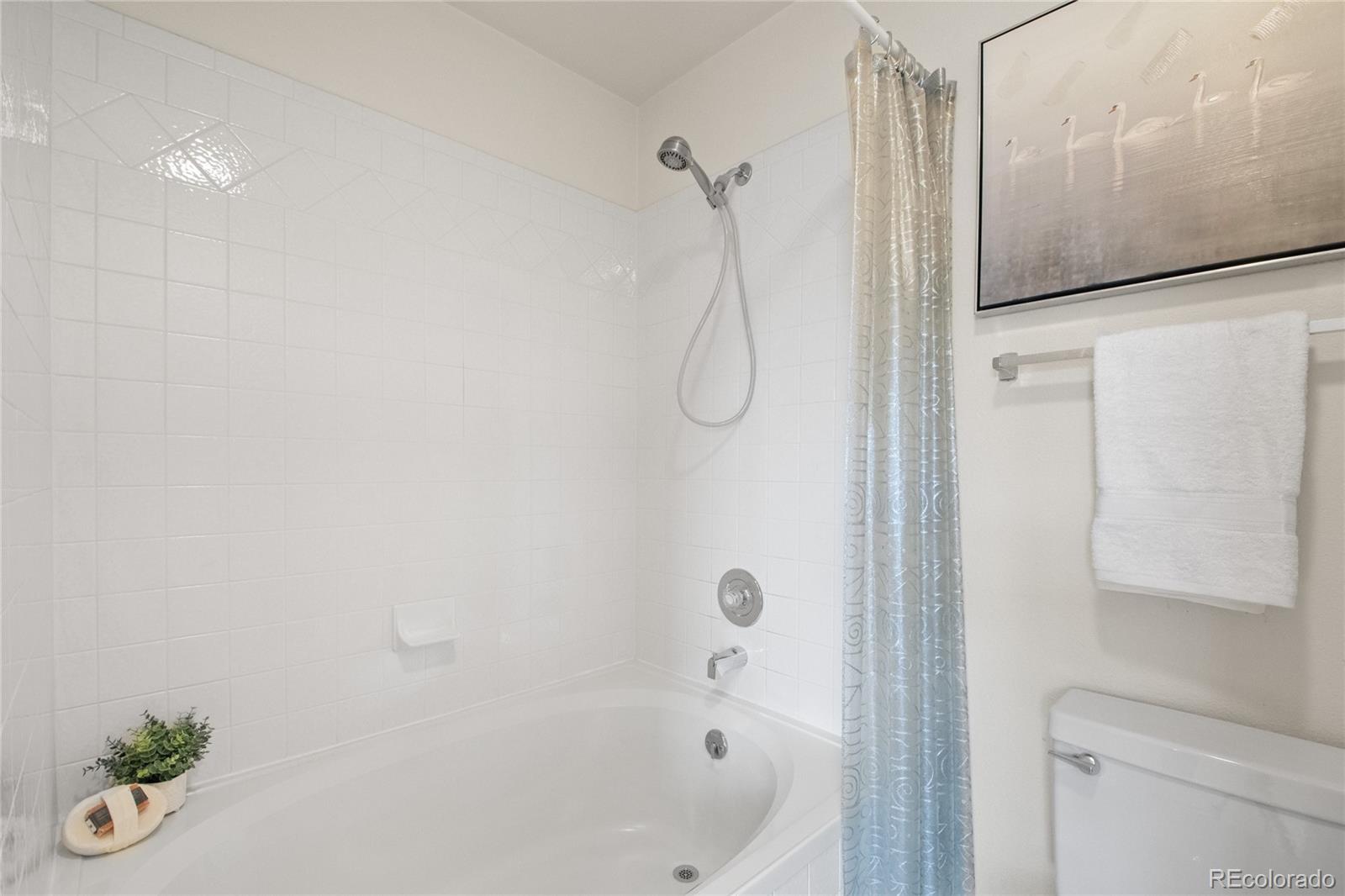 MLS Image #18 for 6806  los reyes circle,colorado springs, Colorado