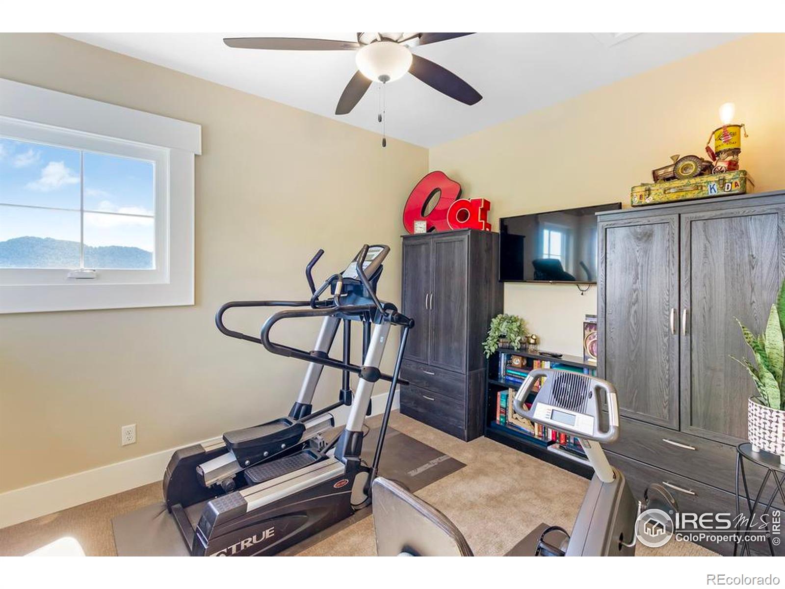 MLS Image #36 for 905  elk trail court,estes park, Colorado