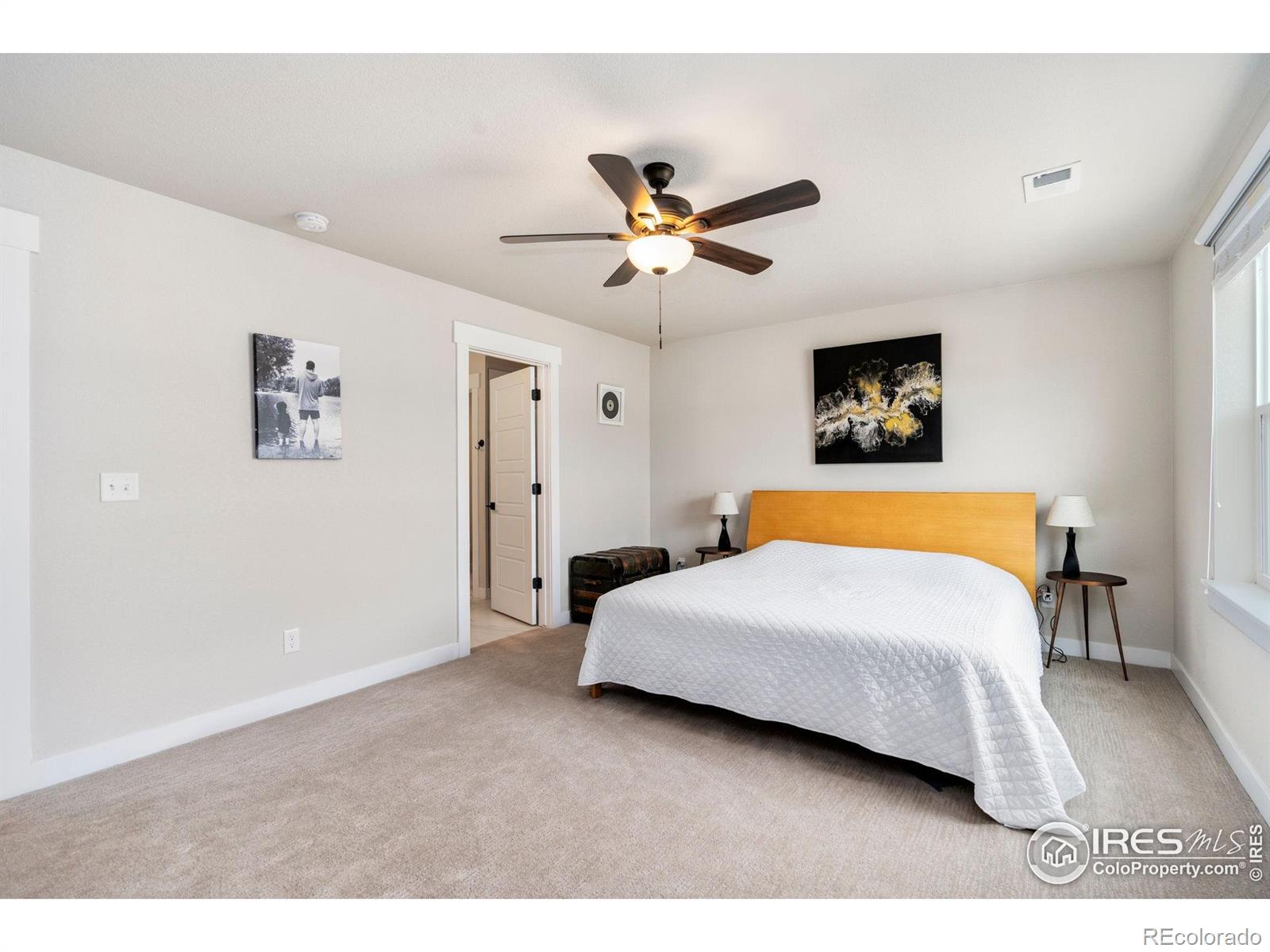 MLS Image #13 for 298 e chestnut street,windsor, Colorado