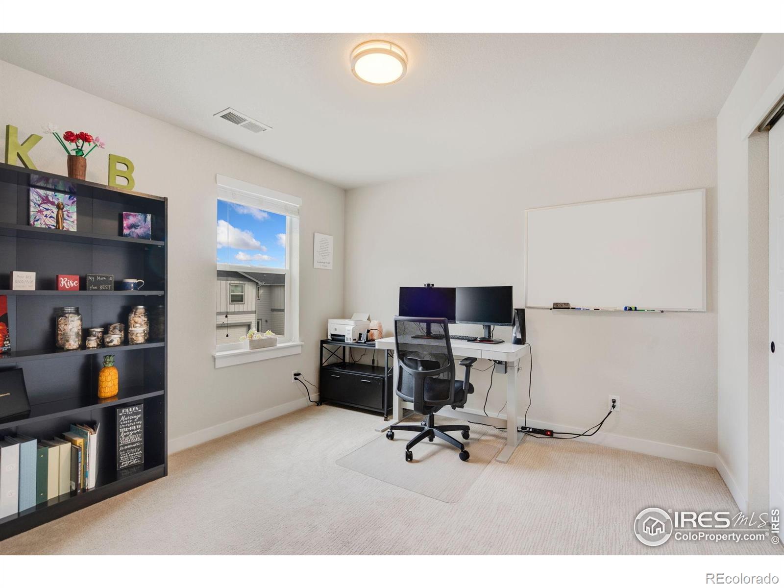 MLS Image #17 for 298 e chestnut street,windsor, Colorado
