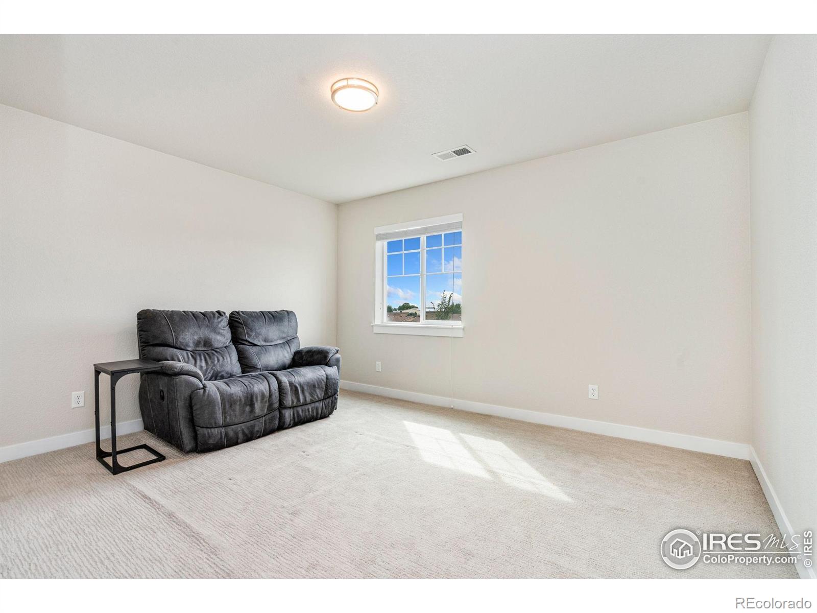 MLS Image #18 for 298 e chestnut street,windsor, Colorado