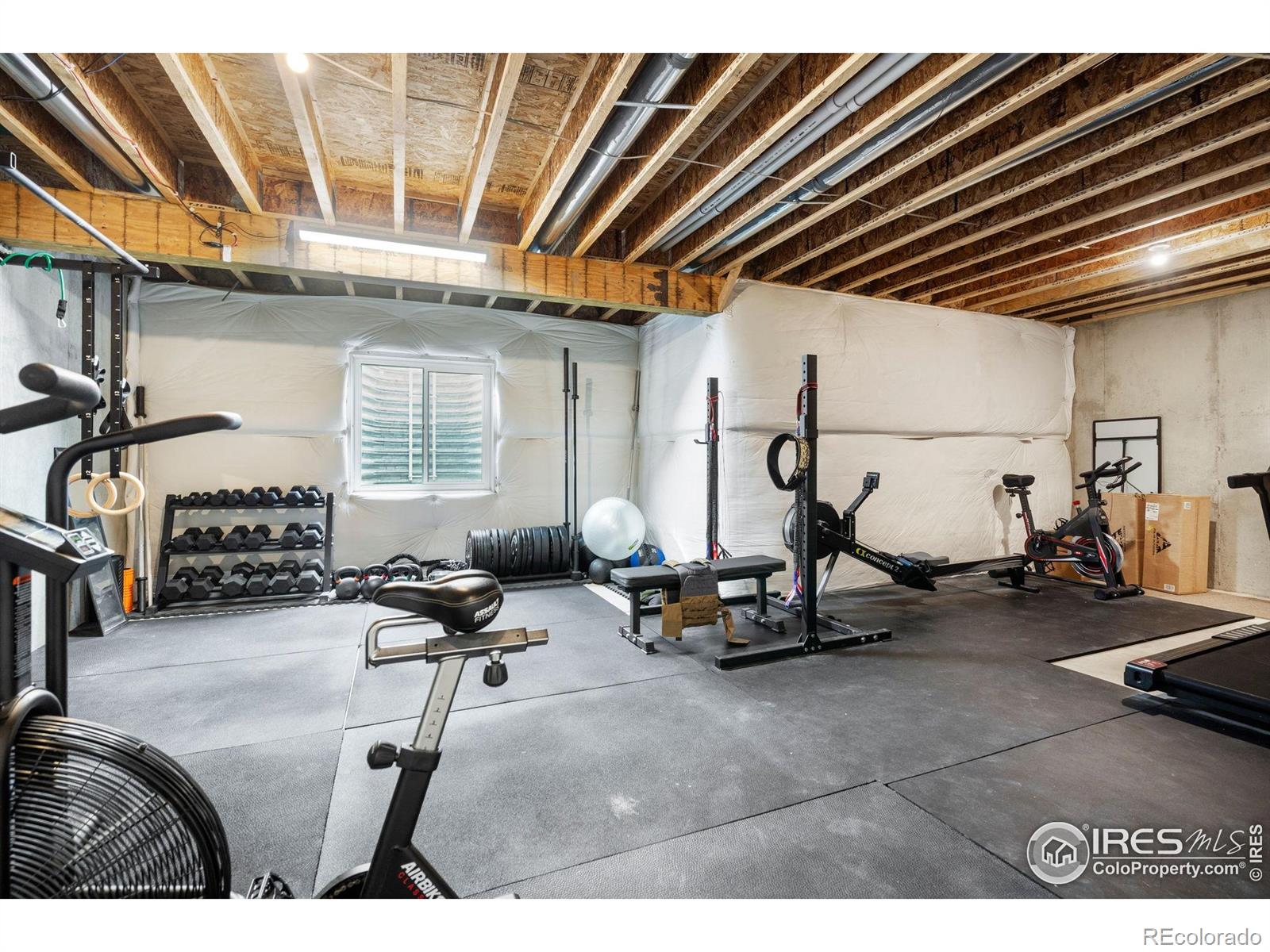 MLS Image #21 for 298 e chestnut street,windsor, Colorado
