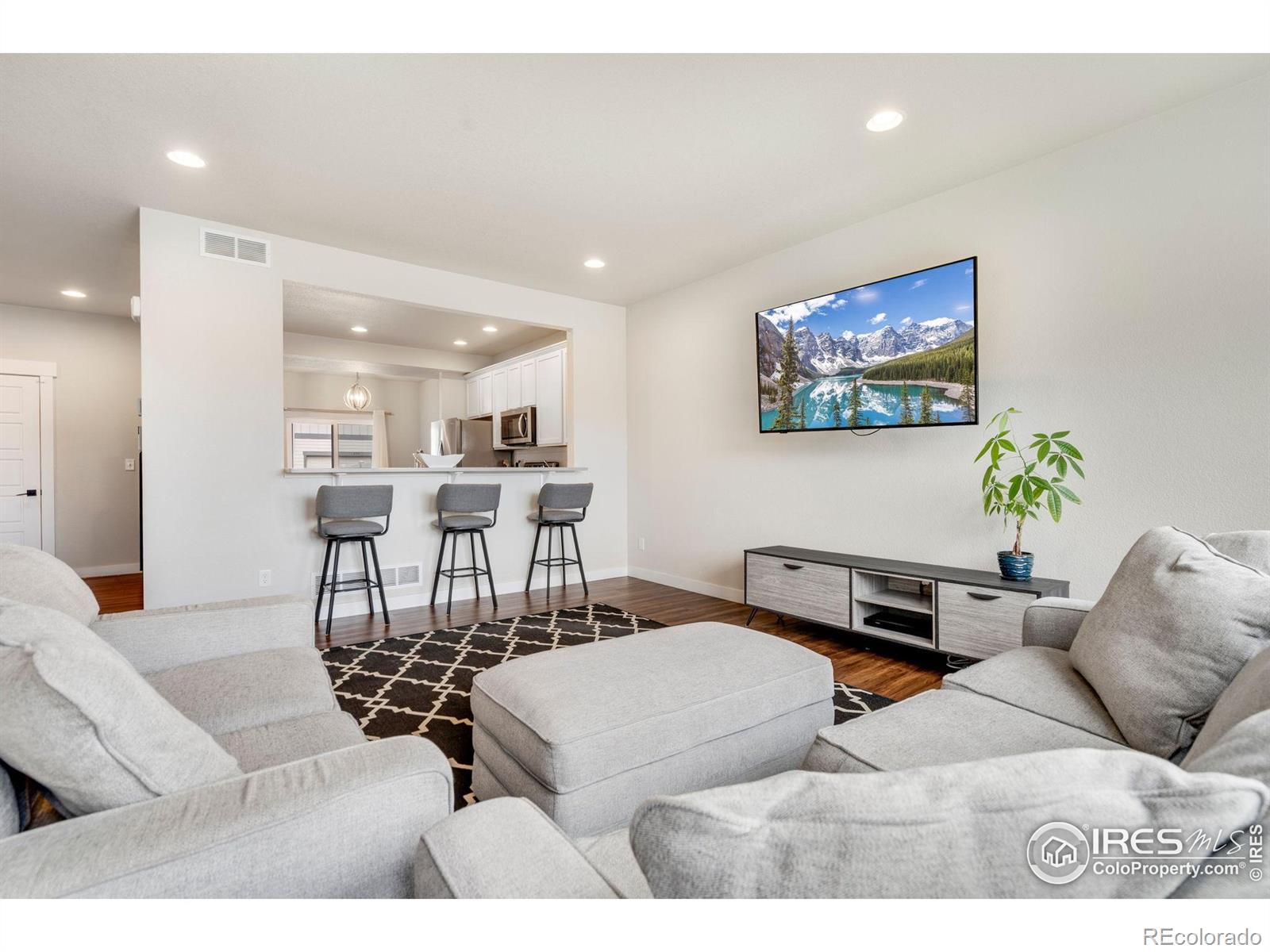 MLS Image #4 for 298 e chestnut street,windsor, Colorado