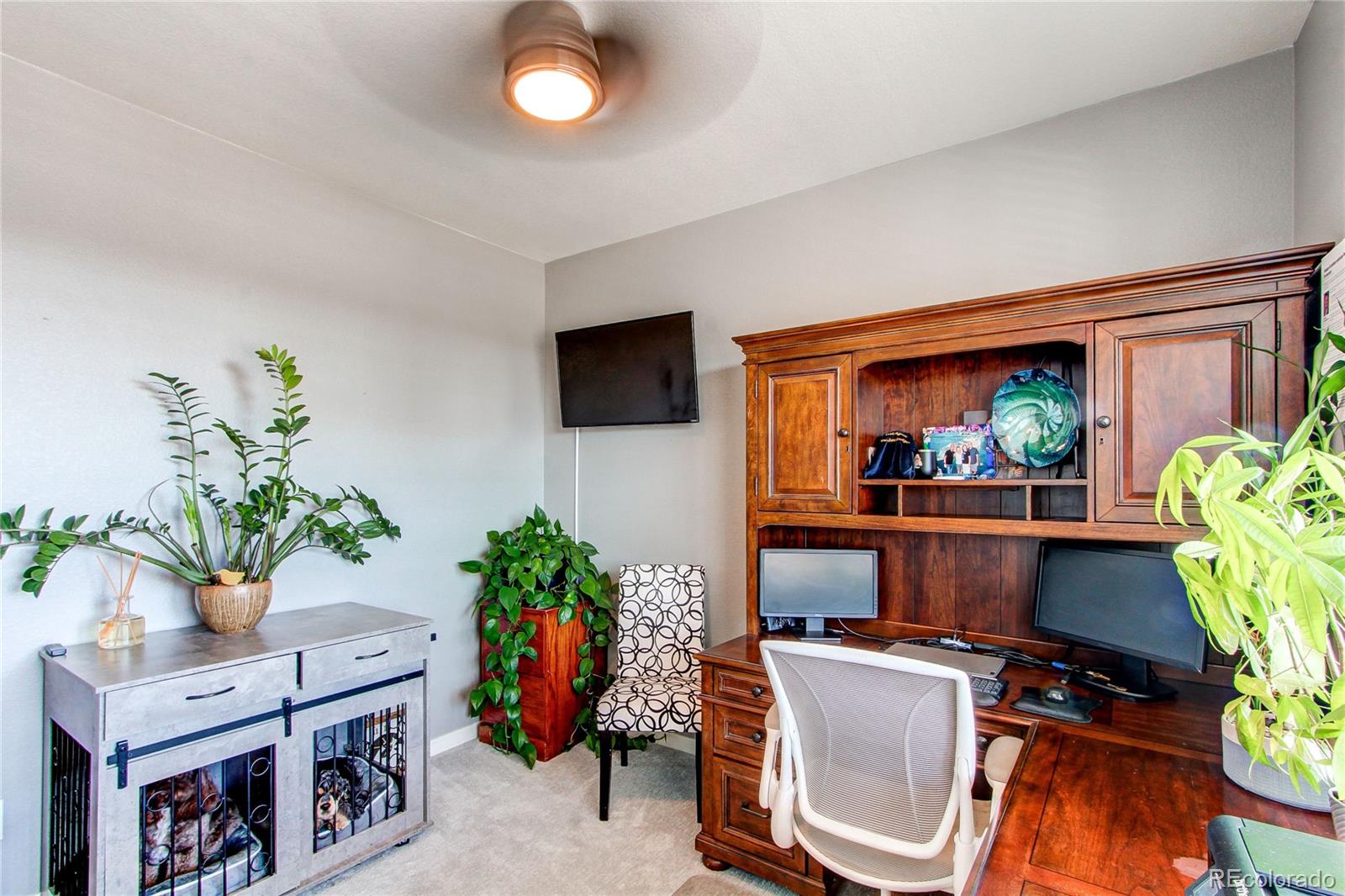 MLS Image #2 for 2227  rosette lane,castle rock, Colorado