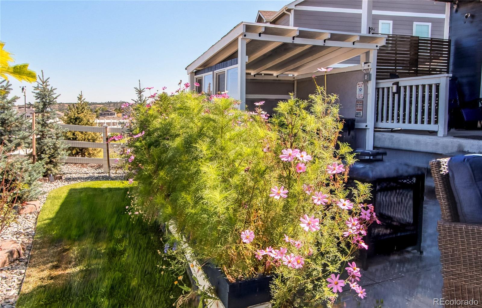 MLS Image #43 for 2227  rosette lane,castle rock, Colorado