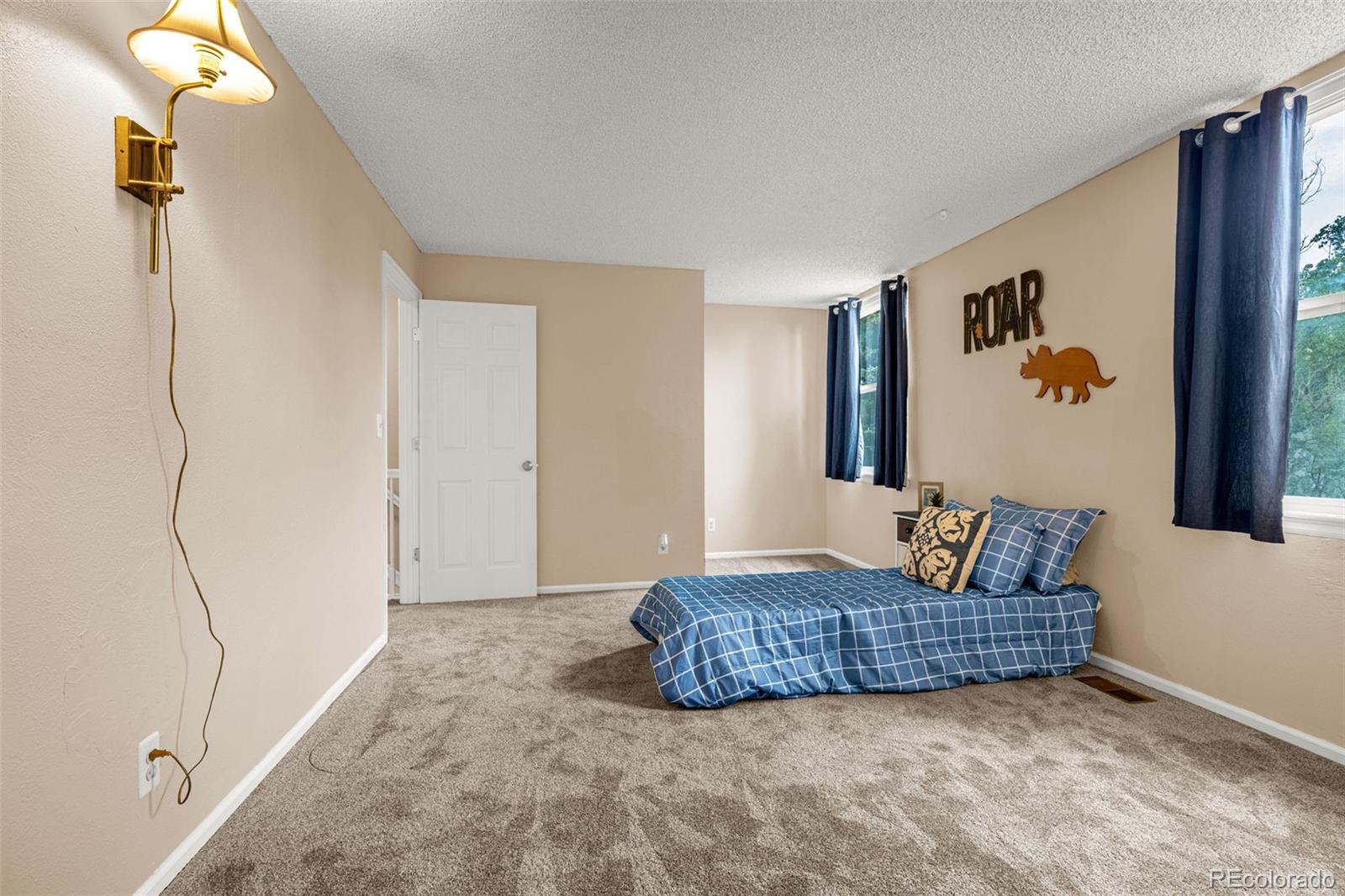 MLS Image #19 for 704  saddlemountain road,colorado springs, Colorado