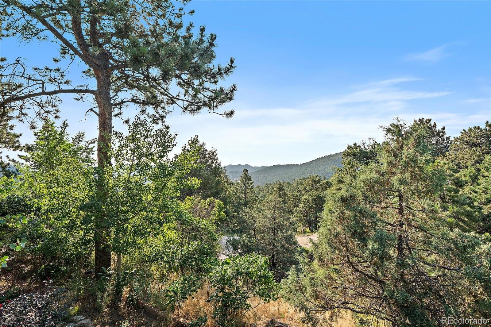 MLS Image #29 for 819  hyland drive,evergreen, Colorado