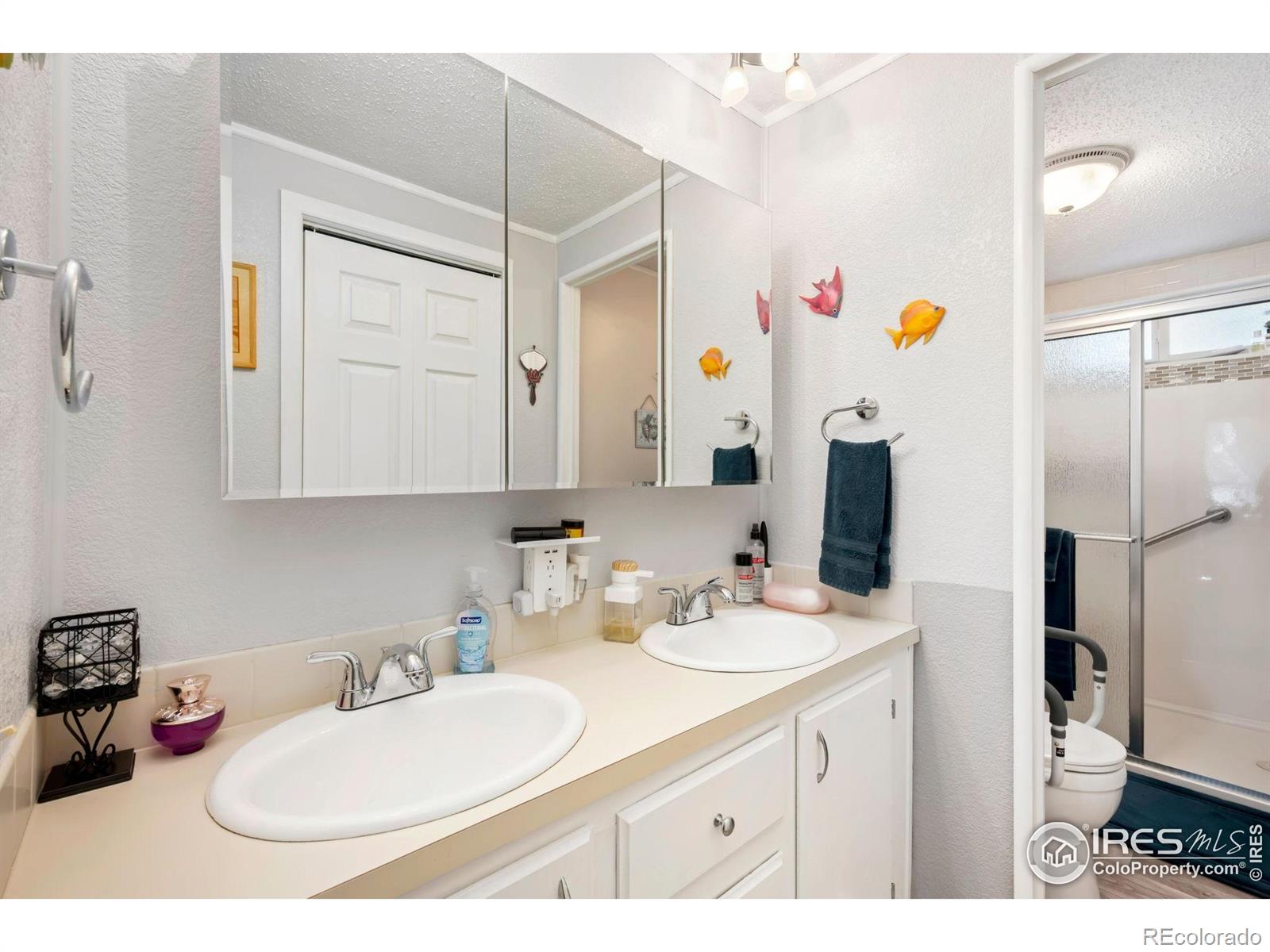 MLS Image #10 for 1375  sunset place,loveland, Colorado