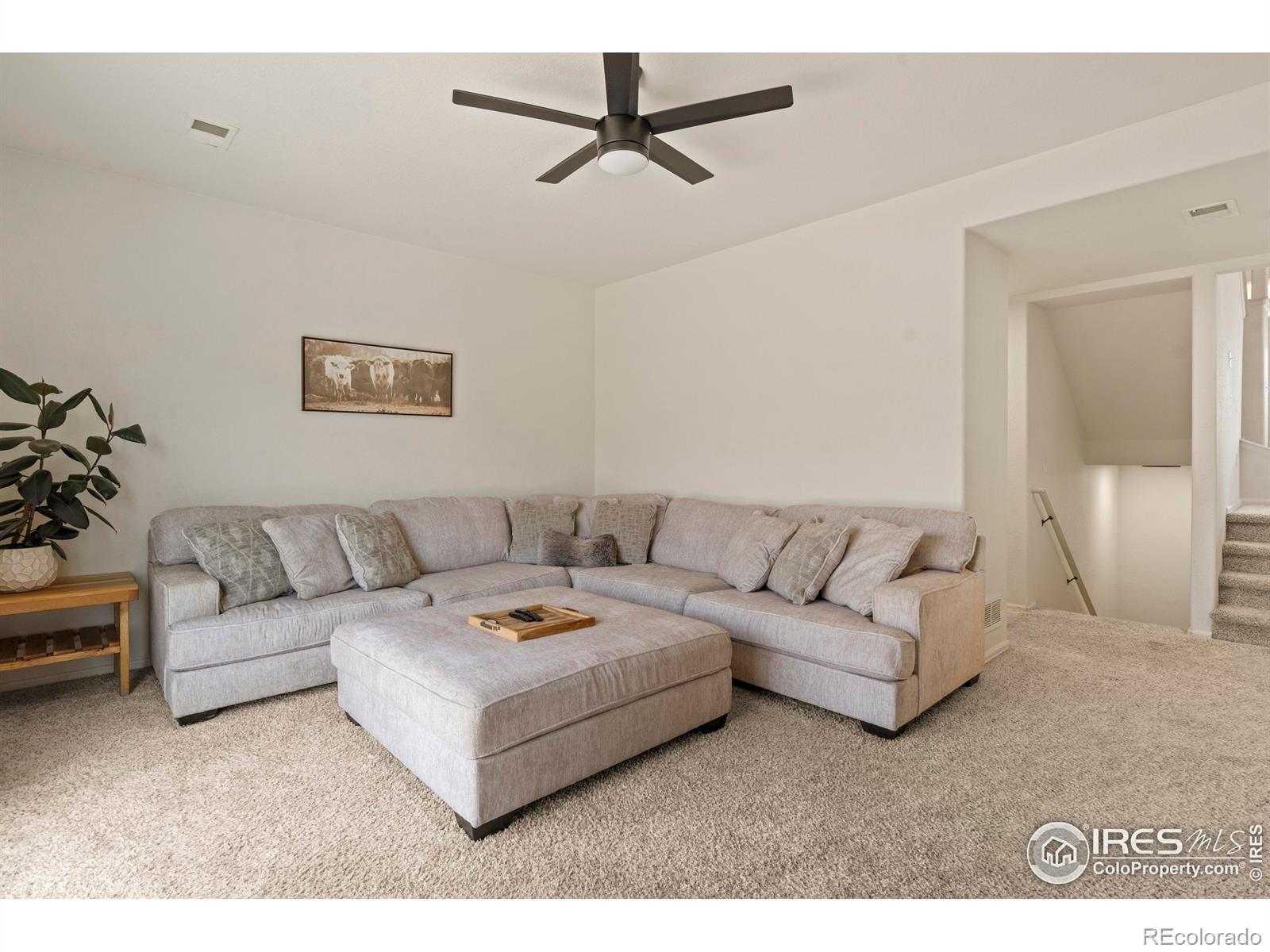 MLS Image #11 for 7235  andover street,wellington, Colorado