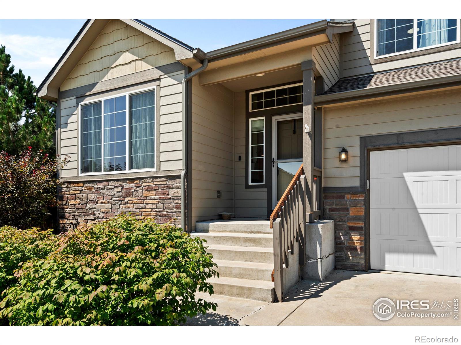 MLS Image #3 for 7235  andover street,wellington, Colorado