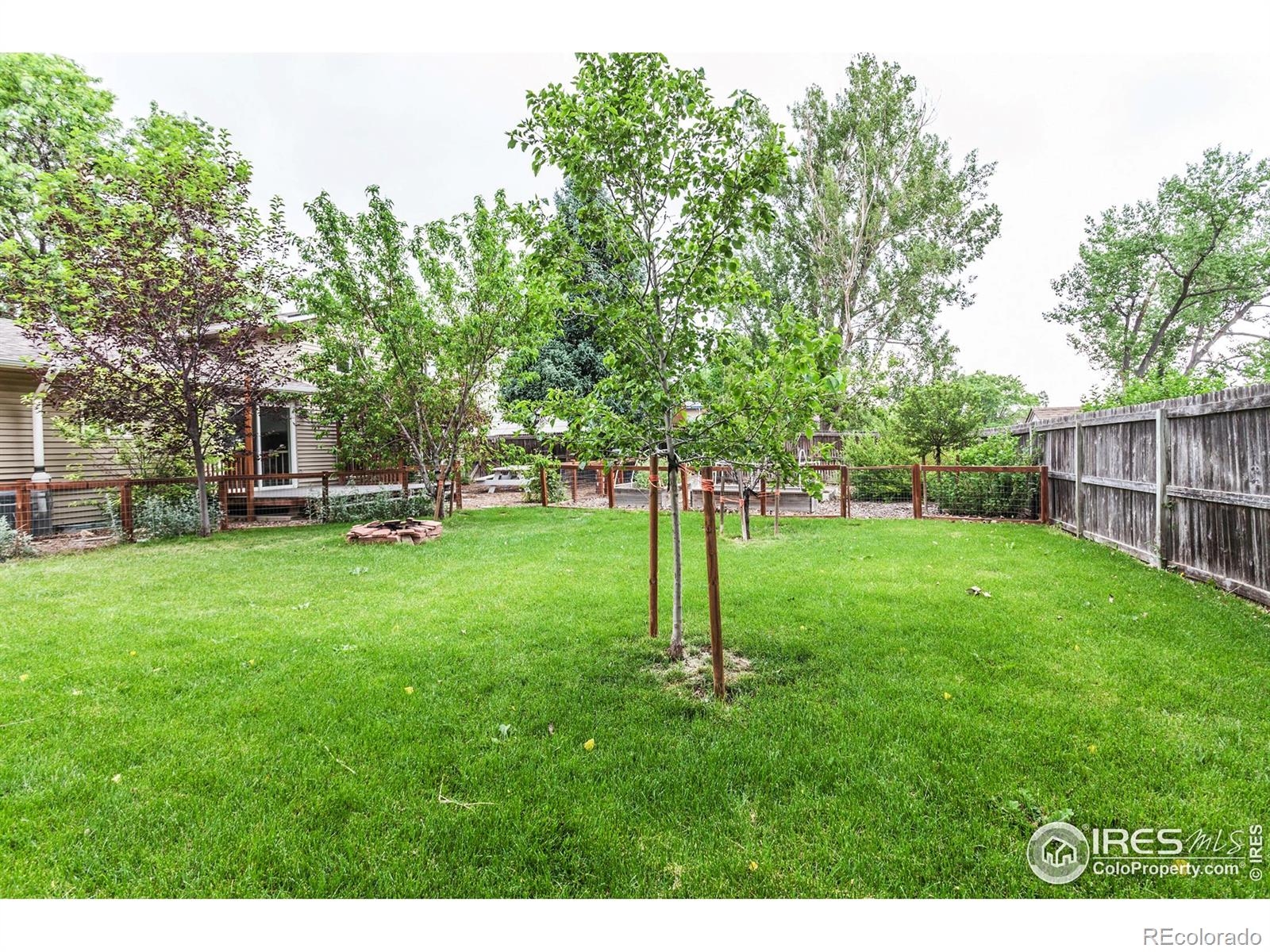 MLS Image #2 for 3142  eagle drive,fort collins, Colorado