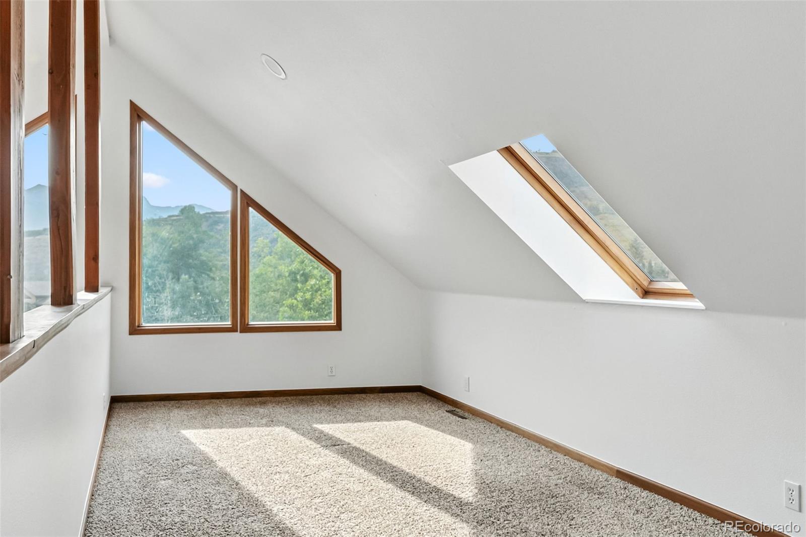 MLS Image #26 for 114  big elk road,dillon, Colorado