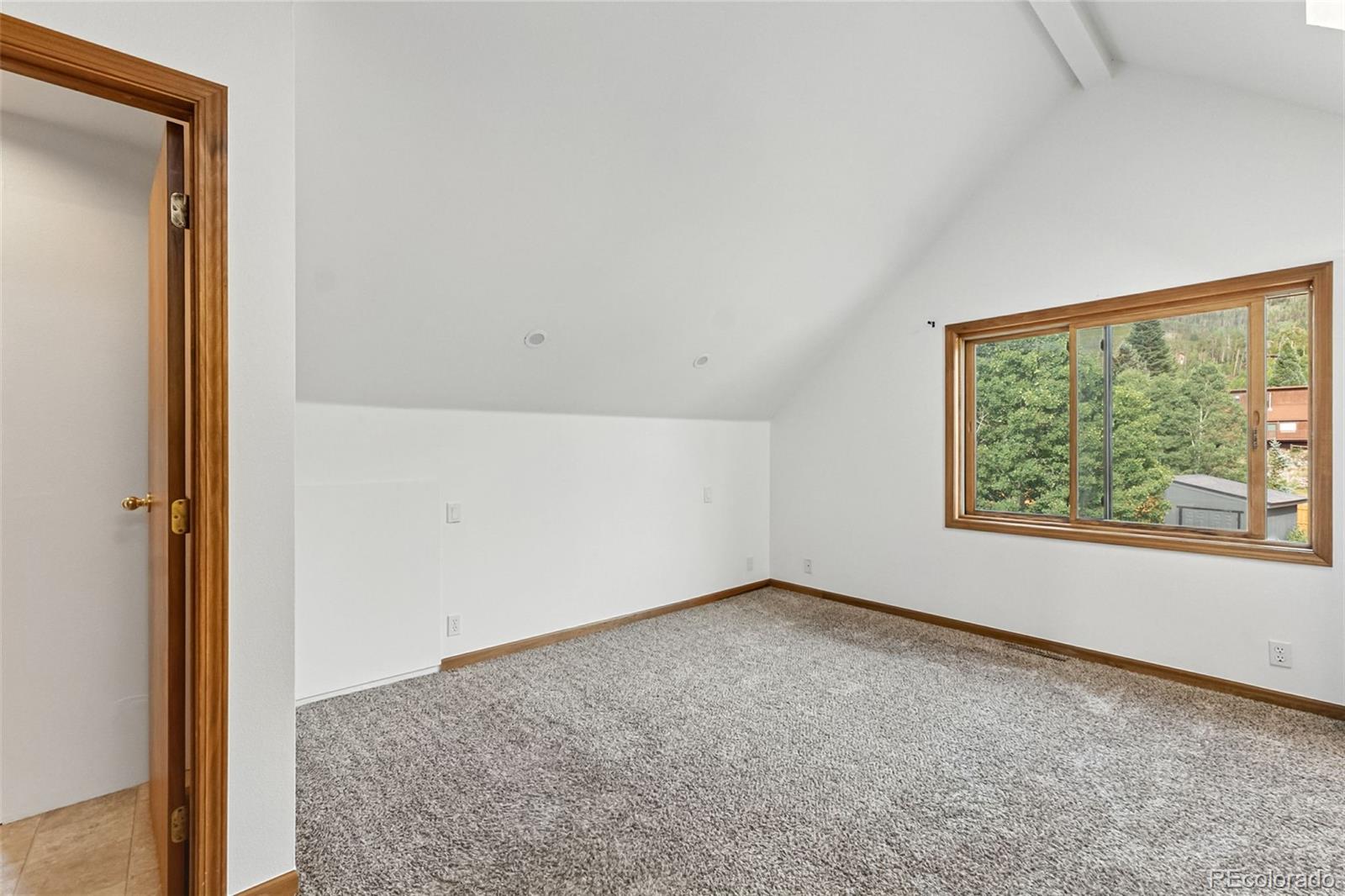 MLS Image #30 for 114  big elk road,dillon, Colorado