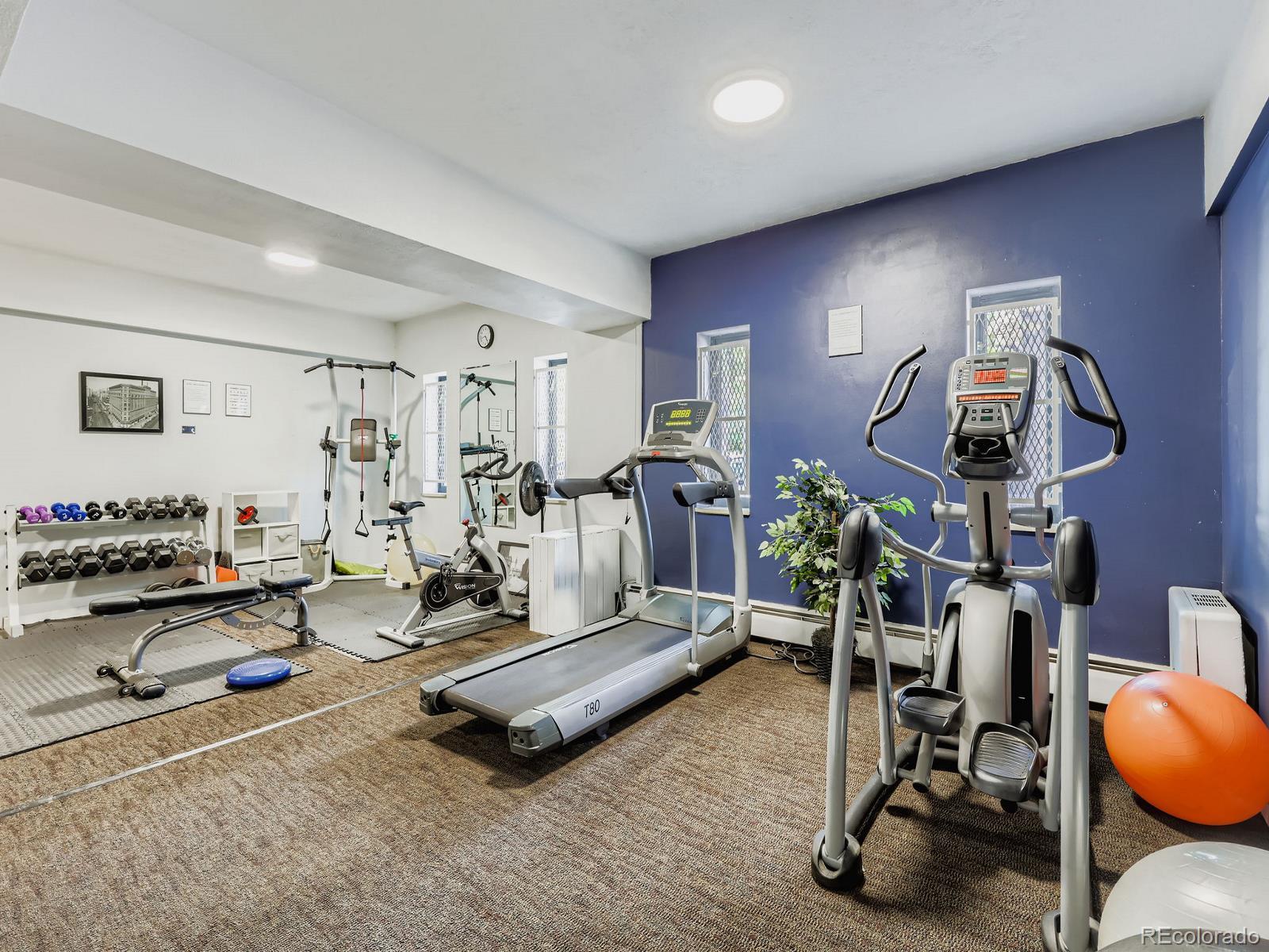 MLS Image #23 for 1050 n corona street,denver, Colorado