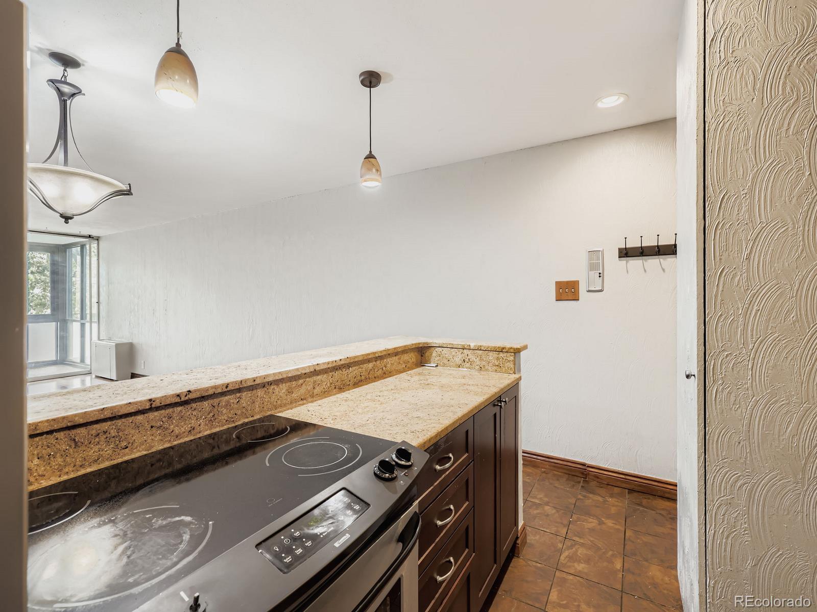 MLS Image #6 for 1050 n corona street,denver, Colorado