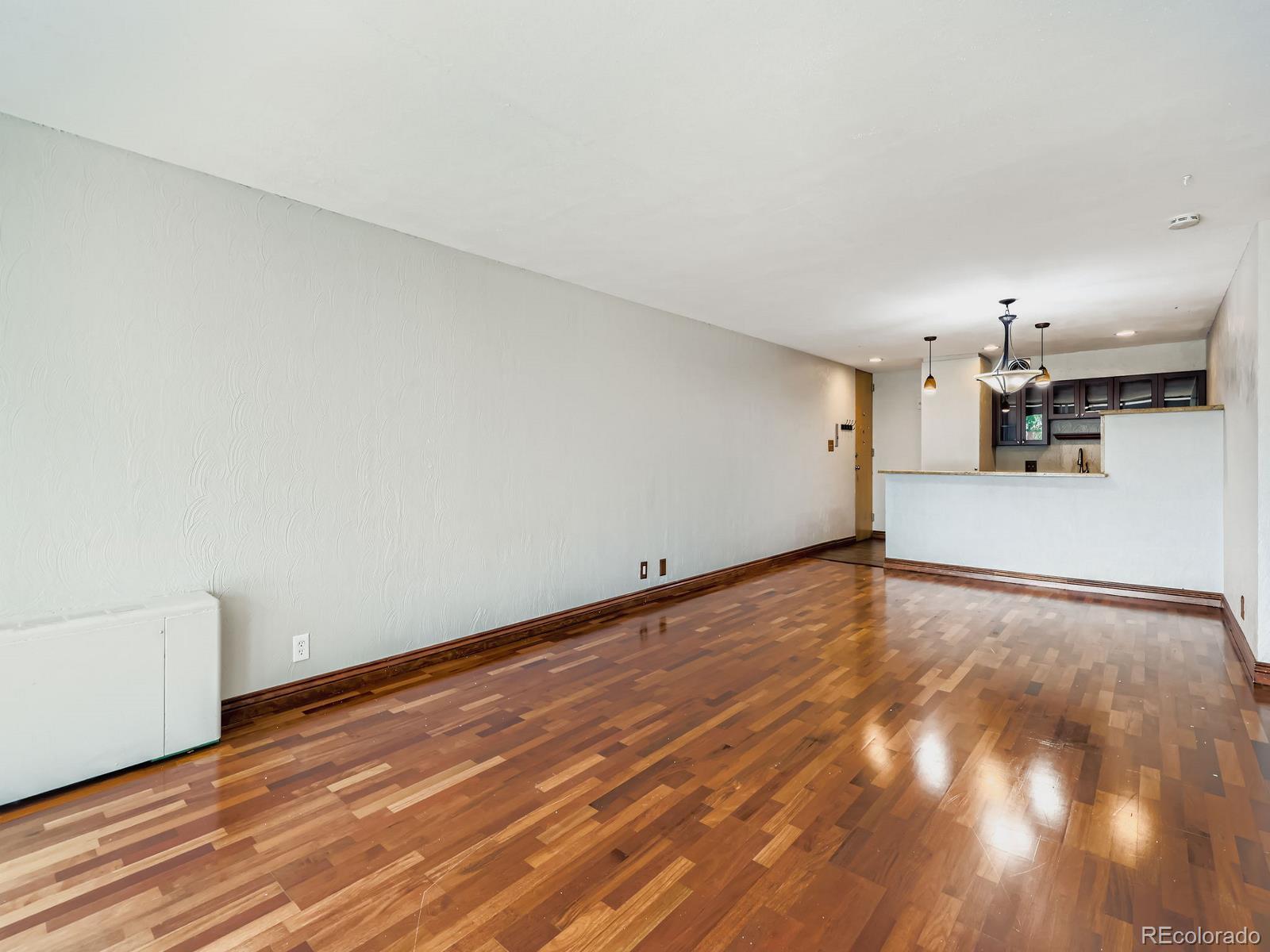 MLS Image #9 for 1050 n corona street,denver, Colorado