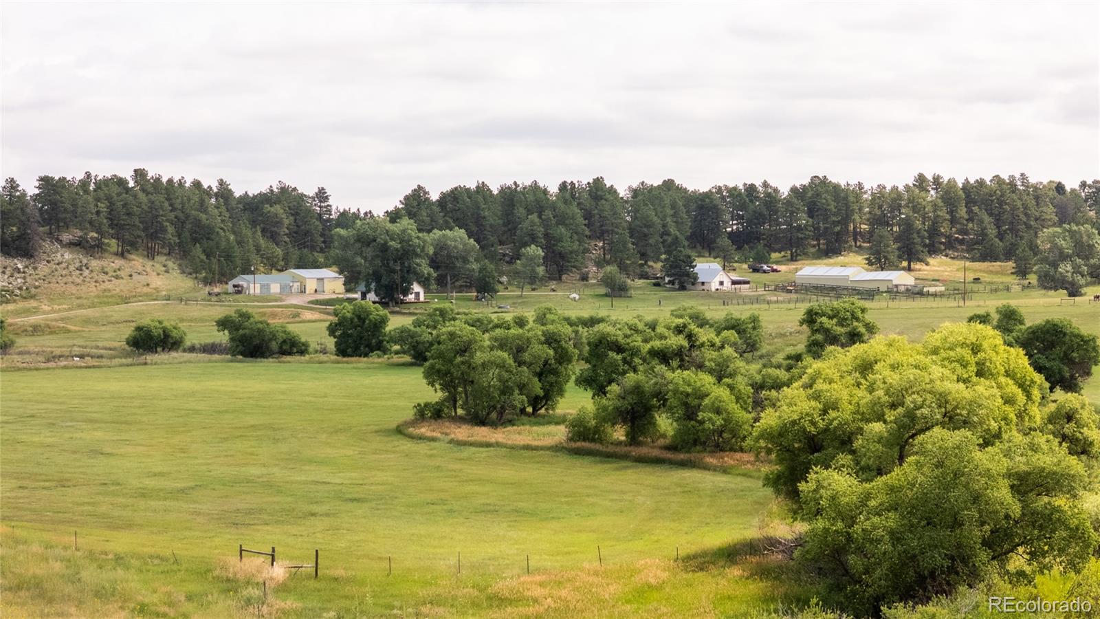 MLS Image #1 for 11503 e smith road,elbert, Colorado