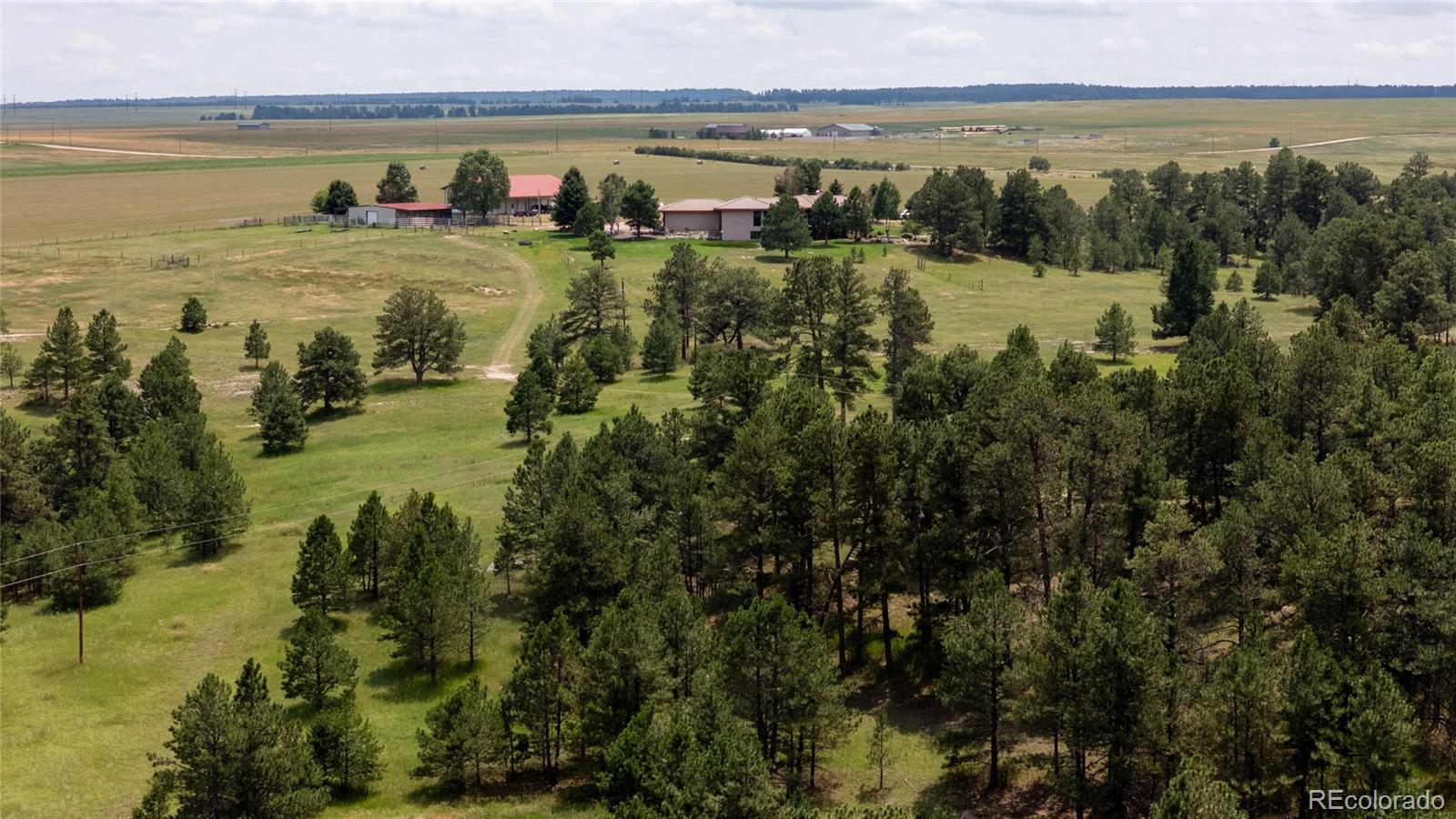 MLS Image #10 for 11503 e smith road,elbert, Colorado