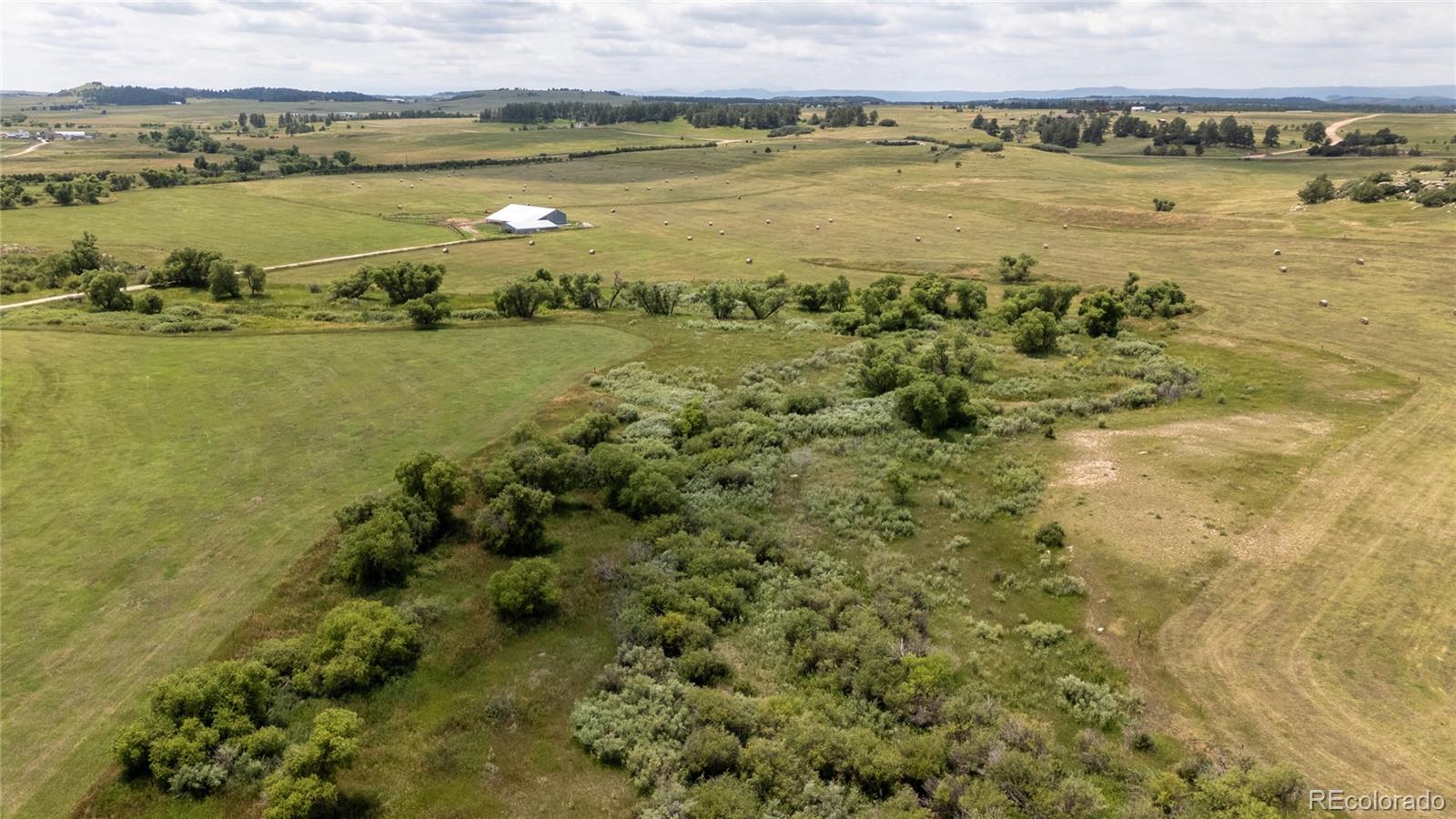 MLS Image #11 for 11503 e smith road,elbert, Colorado