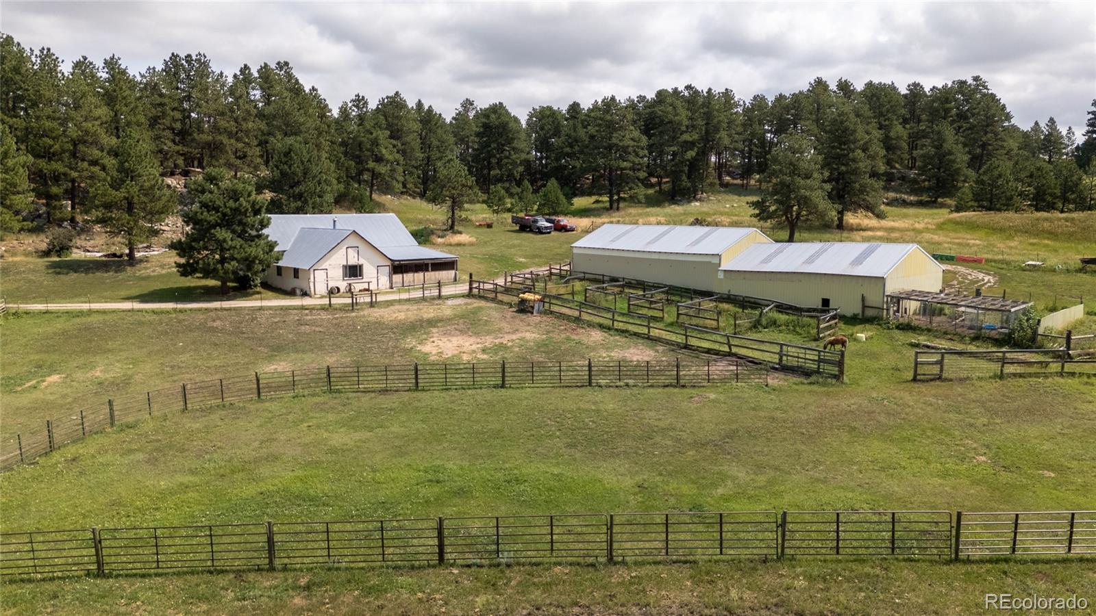 MLS Image #2 for 11503 e smith road,elbert, Colorado