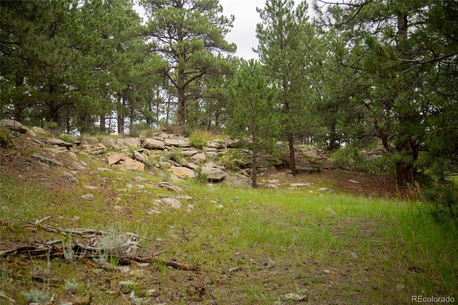 MLS Image #24 for 11503 e smith road,elbert, Colorado