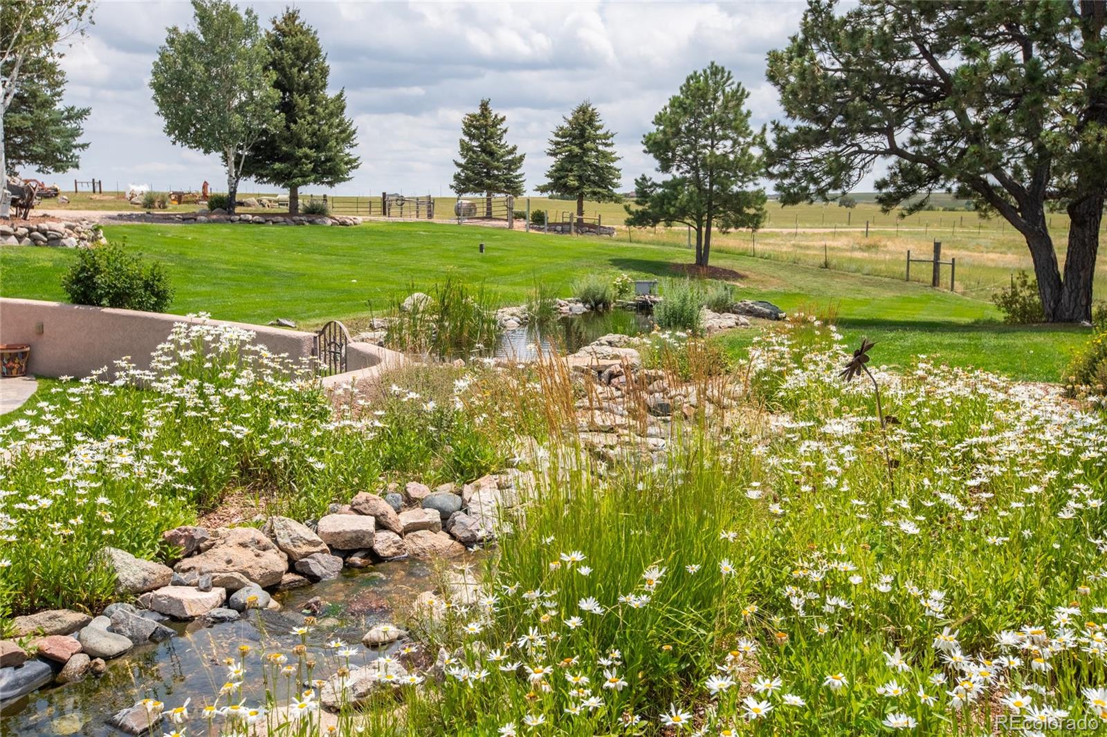 MLS Image #27 for 11503 e smith road,elbert, Colorado