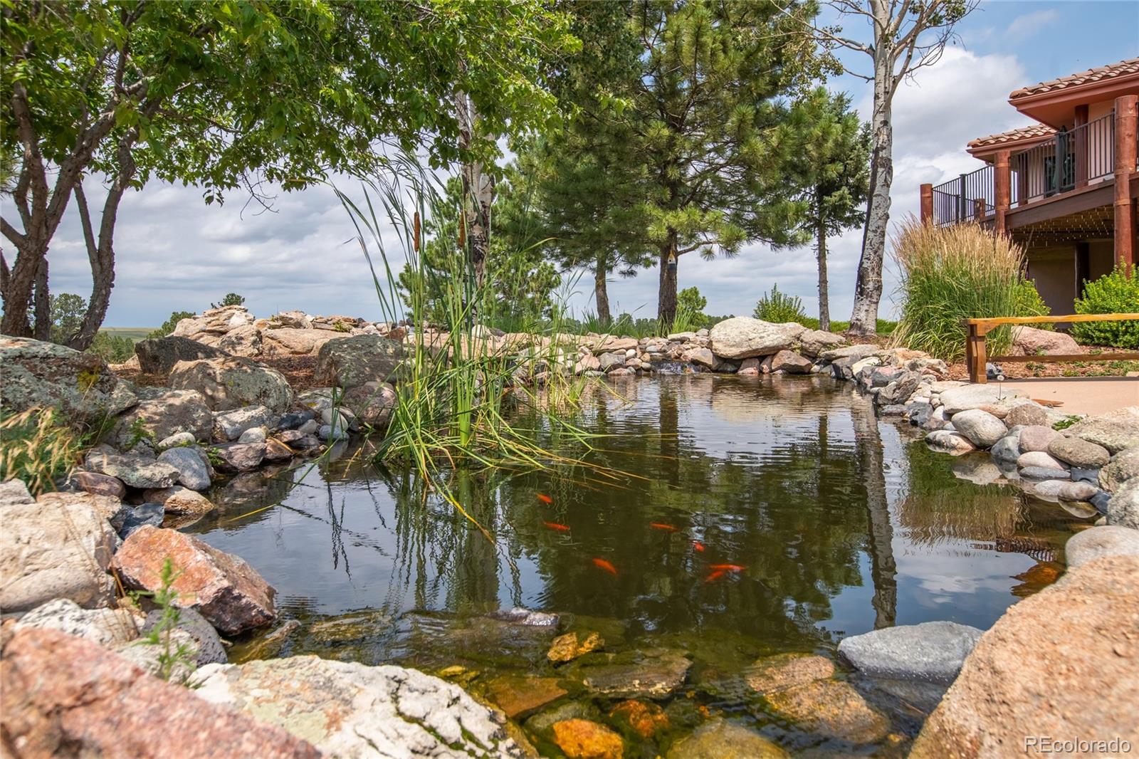 MLS Image #30 for 11503 e smith road,elbert, Colorado