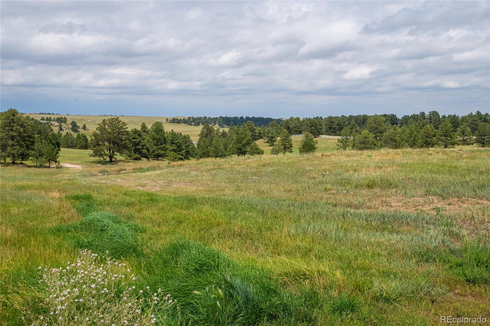 MLS Image #36 for 11503 e smith road,elbert, Colorado