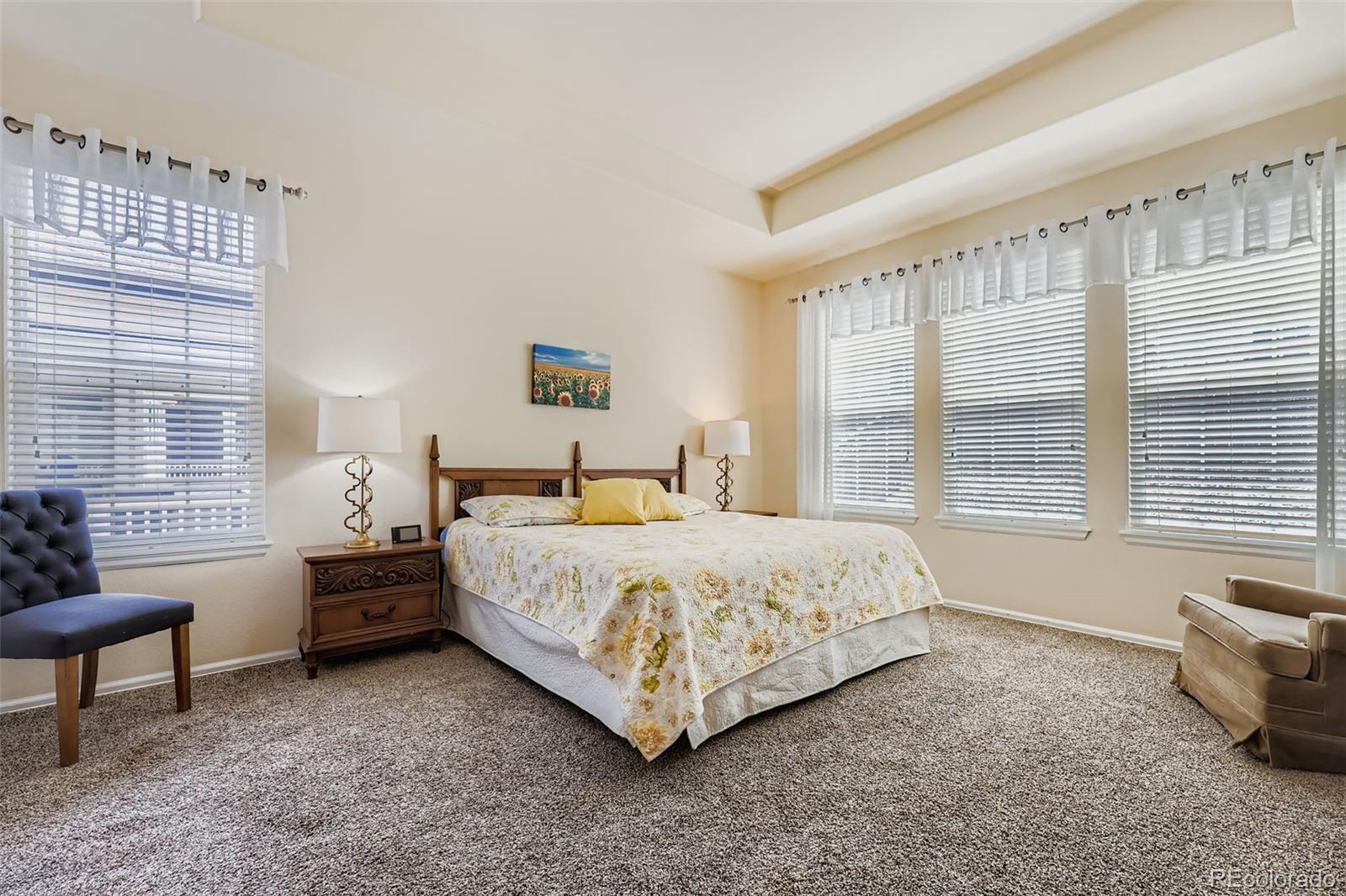 MLS Image #12 for 2611  leafdale circle,castle rock, Colorado