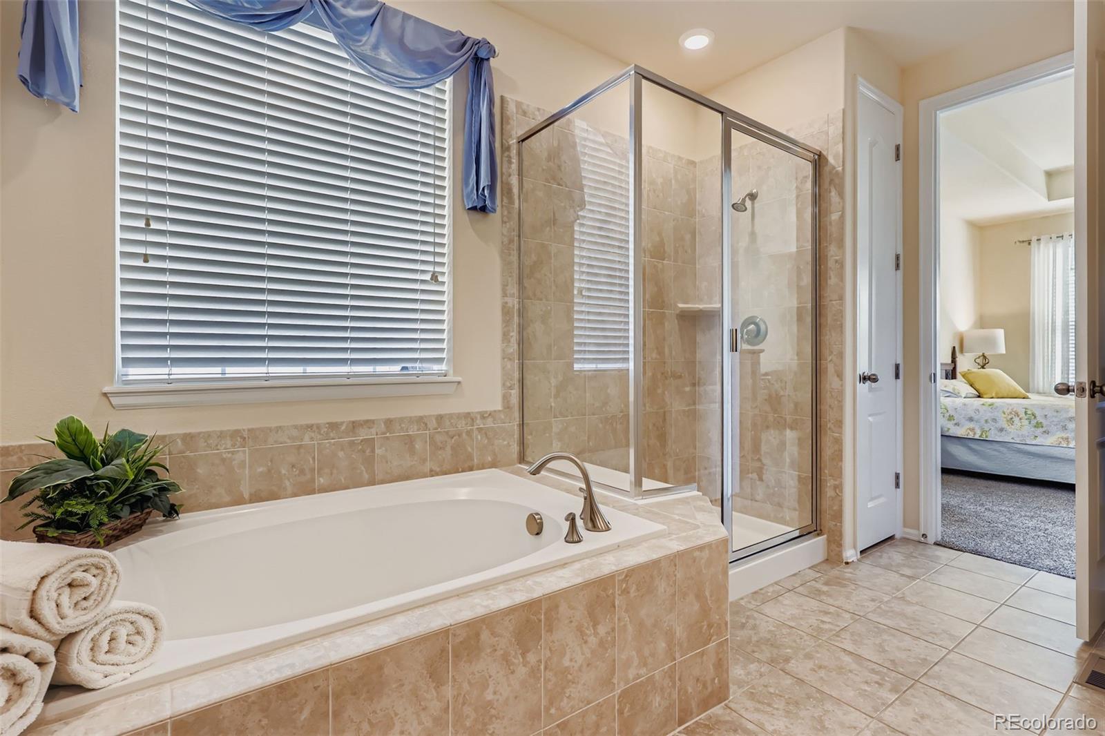 MLS Image #14 for 2611  leafdale circle,castle rock, Colorado