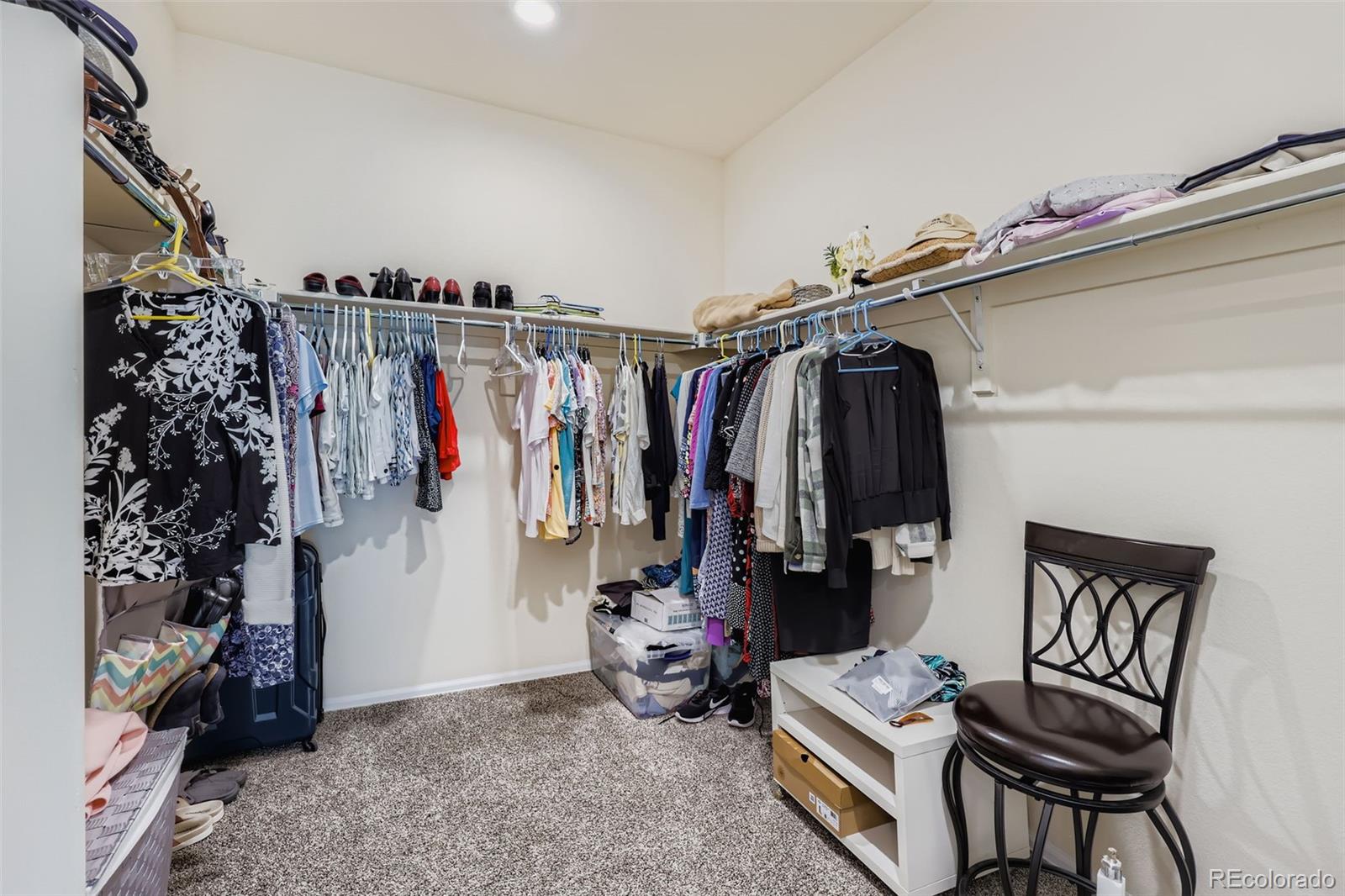 MLS Image #15 for 2611  leafdale circle,castle rock, Colorado