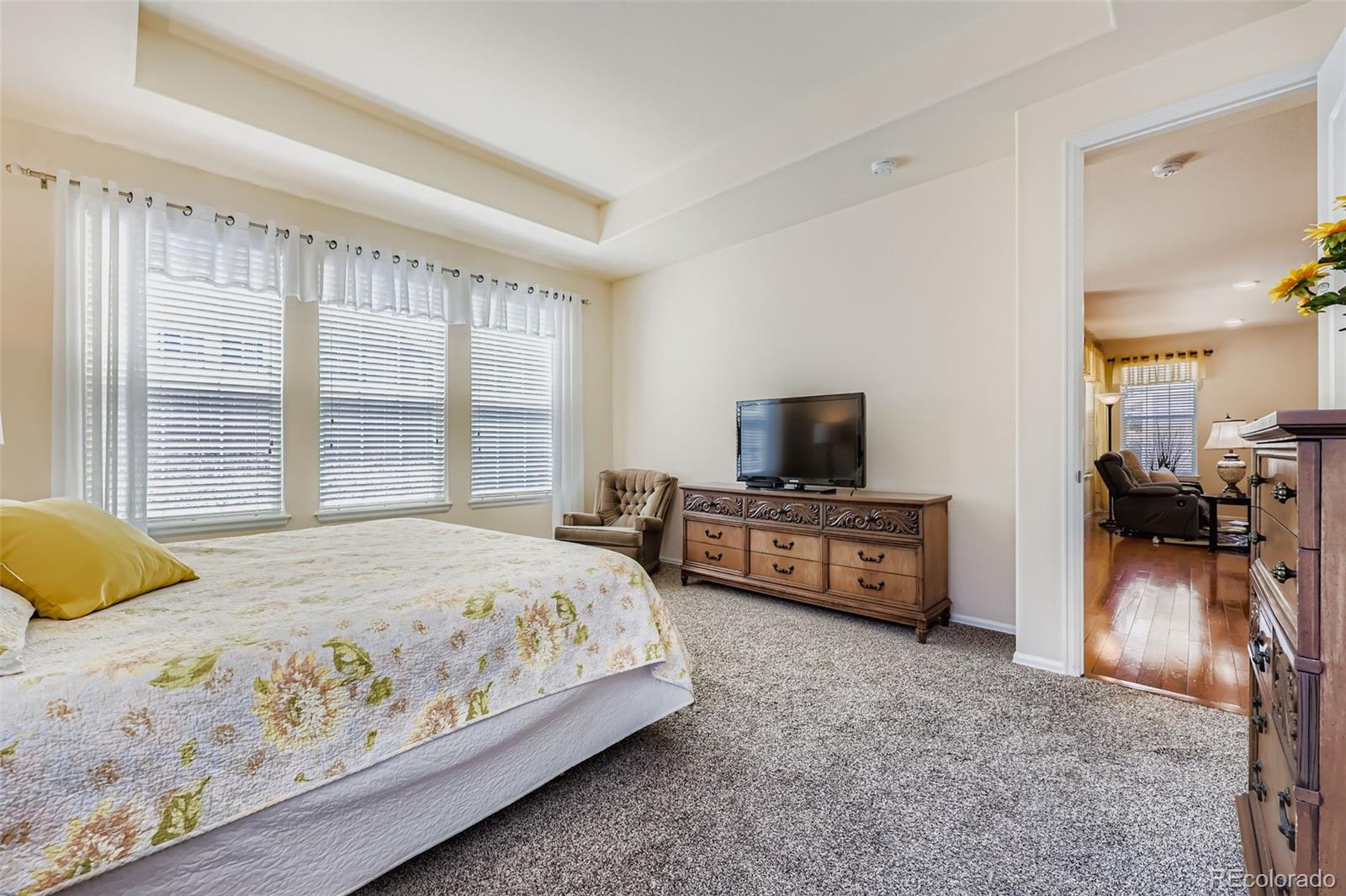 MLS Image #9 for 2611  leafdale circle,castle rock, Colorado