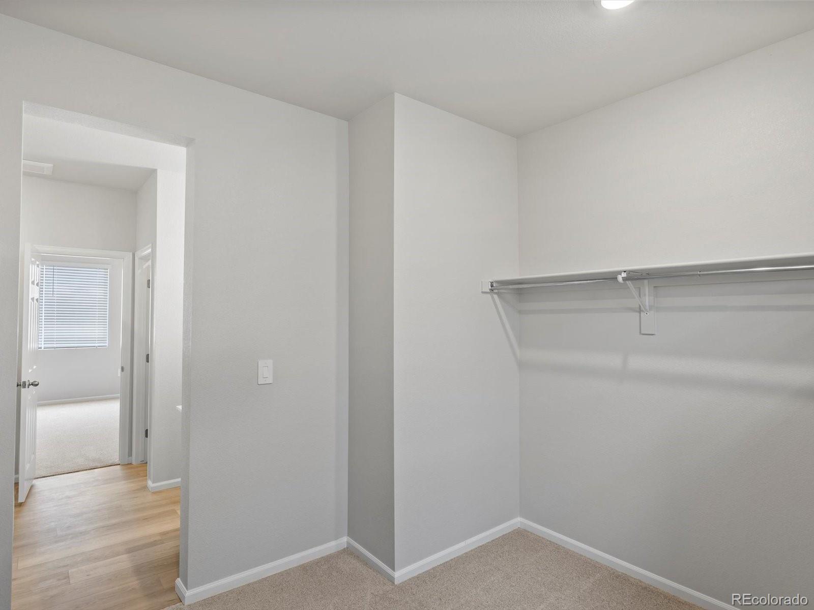 MLS Image #17 for 1696  yampa river drive,windsor, Colorado