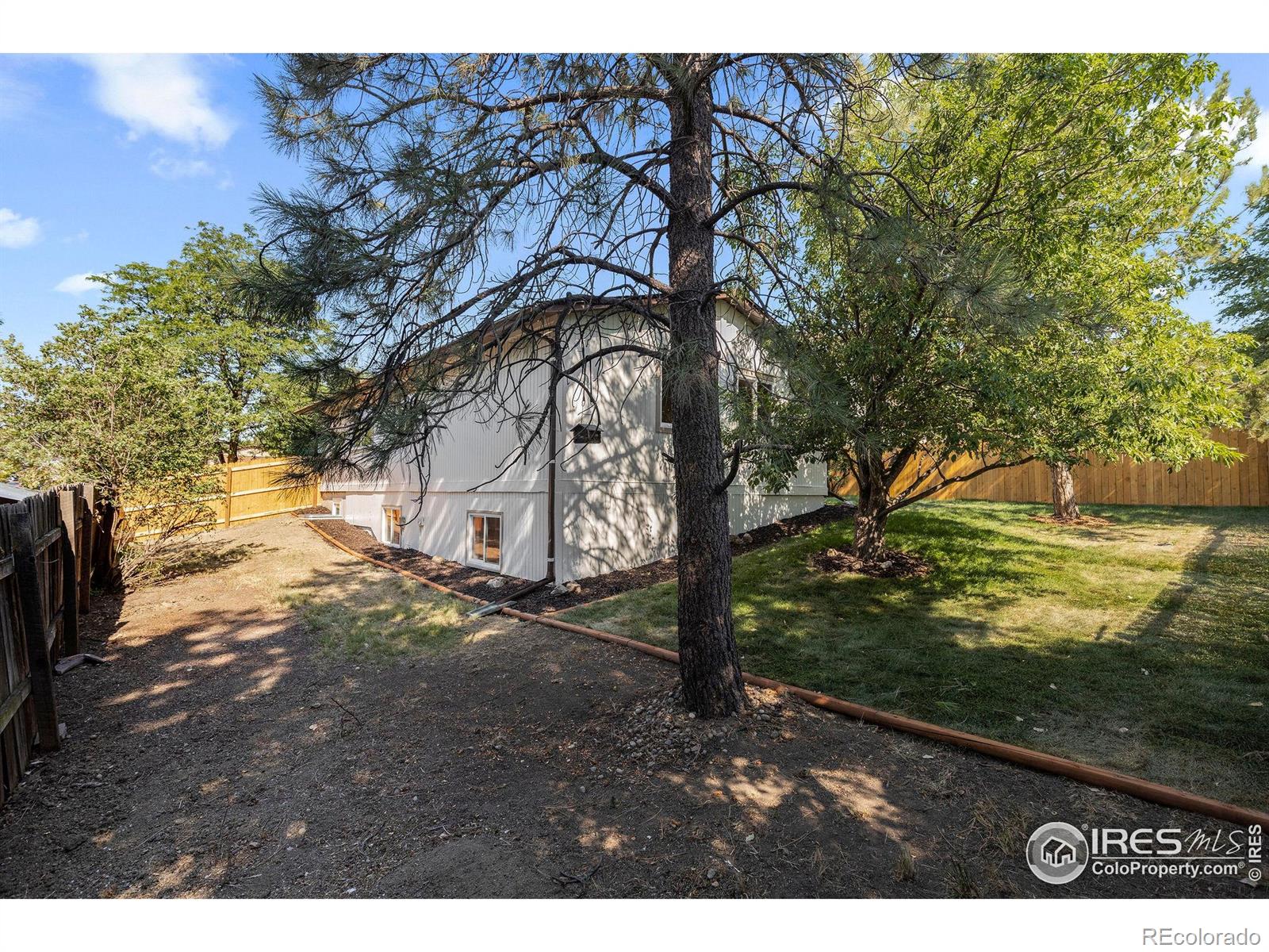 MLS Image #22 for 140  judson street,longmont, Colorado
