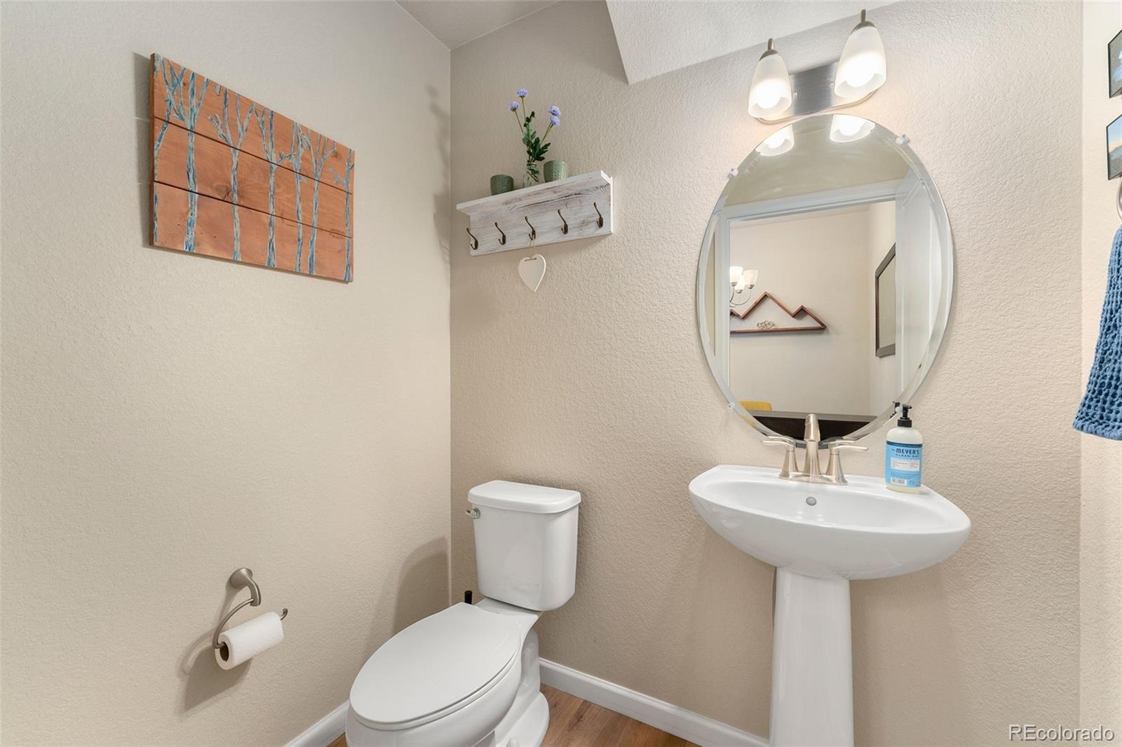 MLS Image #11 for 8418  rizza street,highlands ranch, Colorado