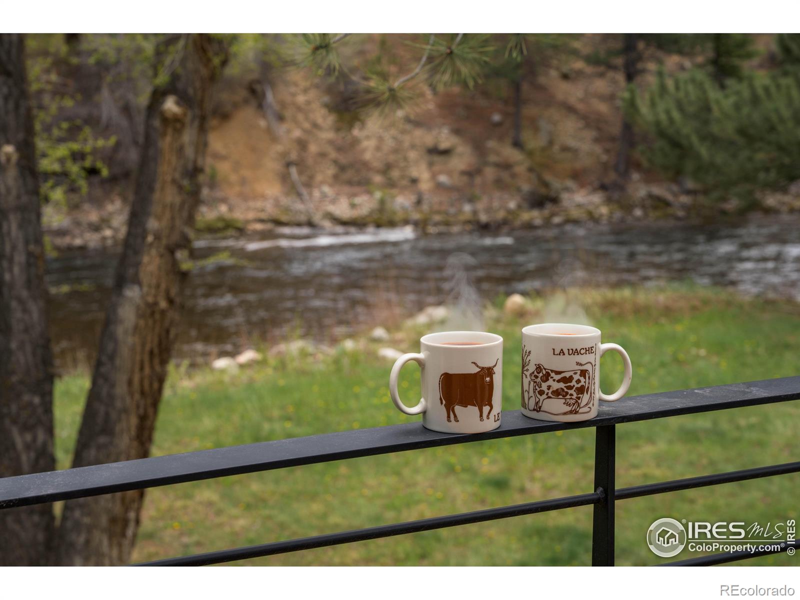 MLS Image #21 for 37797 w highway 14 ,bellvue, Colorado
