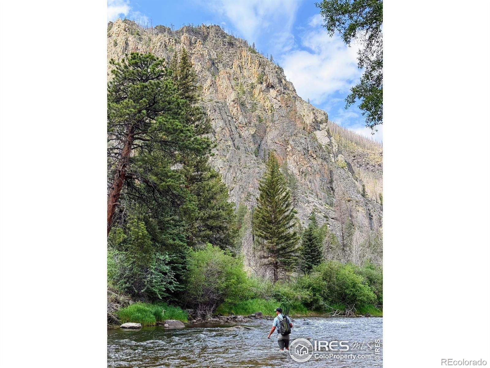 MLS Image #3 for 37797 w highway 14 ,bellvue, Colorado