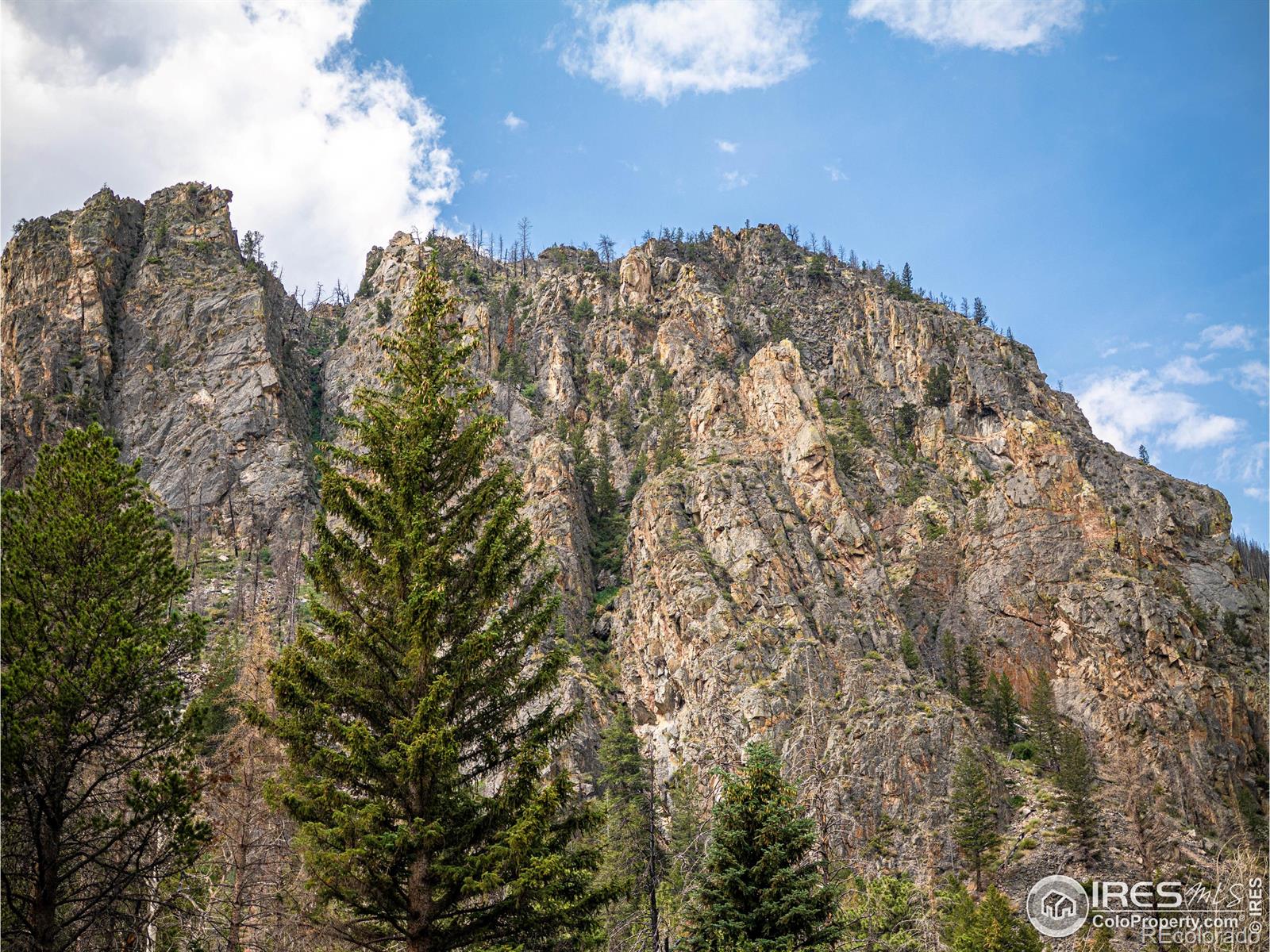 MLS Image #39 for 37797 w highway 14 ,bellvue, Colorado