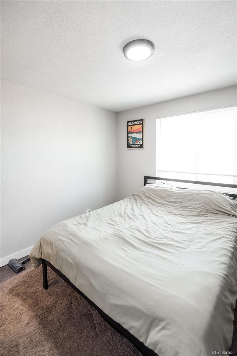 MLS Image #8 for 1588  verbena street,denver, Colorado