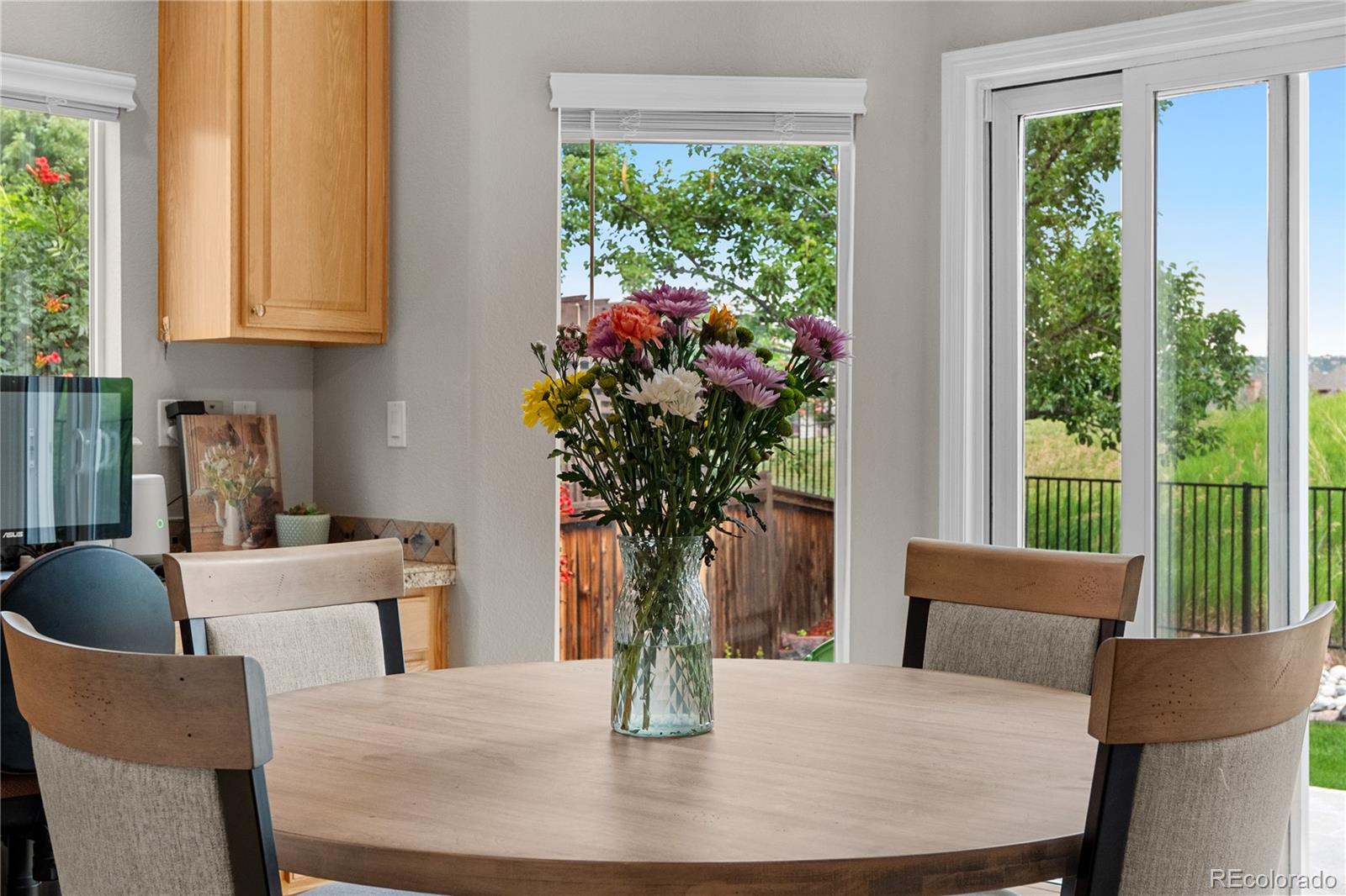 MLS Image #7 for 1362  double eagle court,castle rock, Colorado
